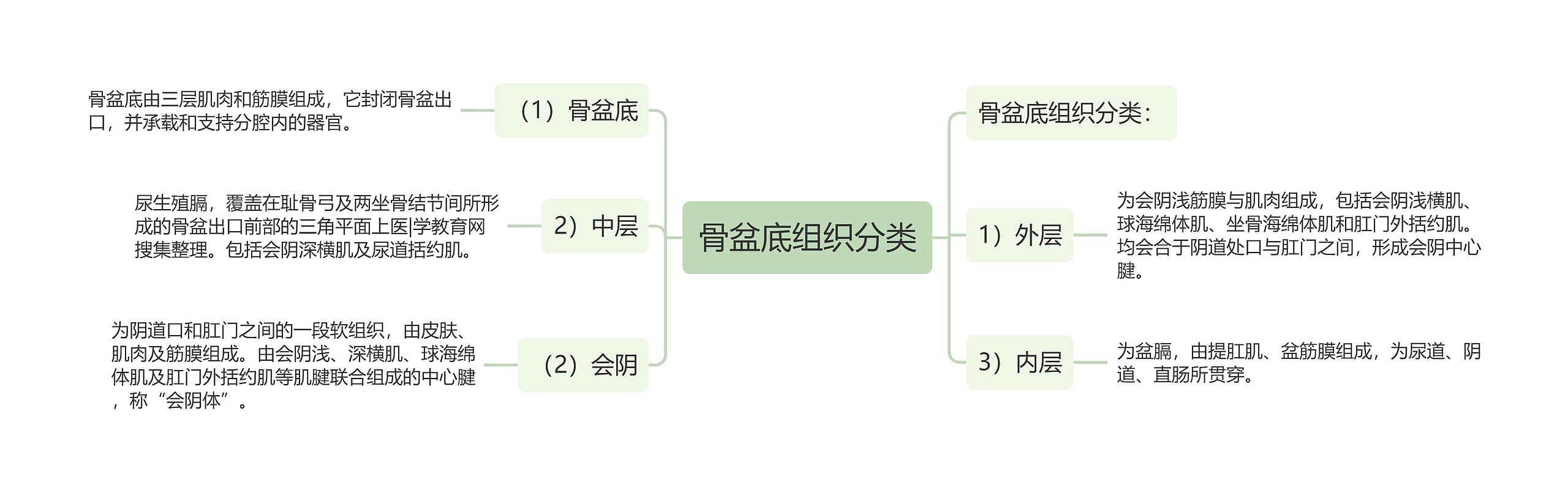 骨盆底组织分类