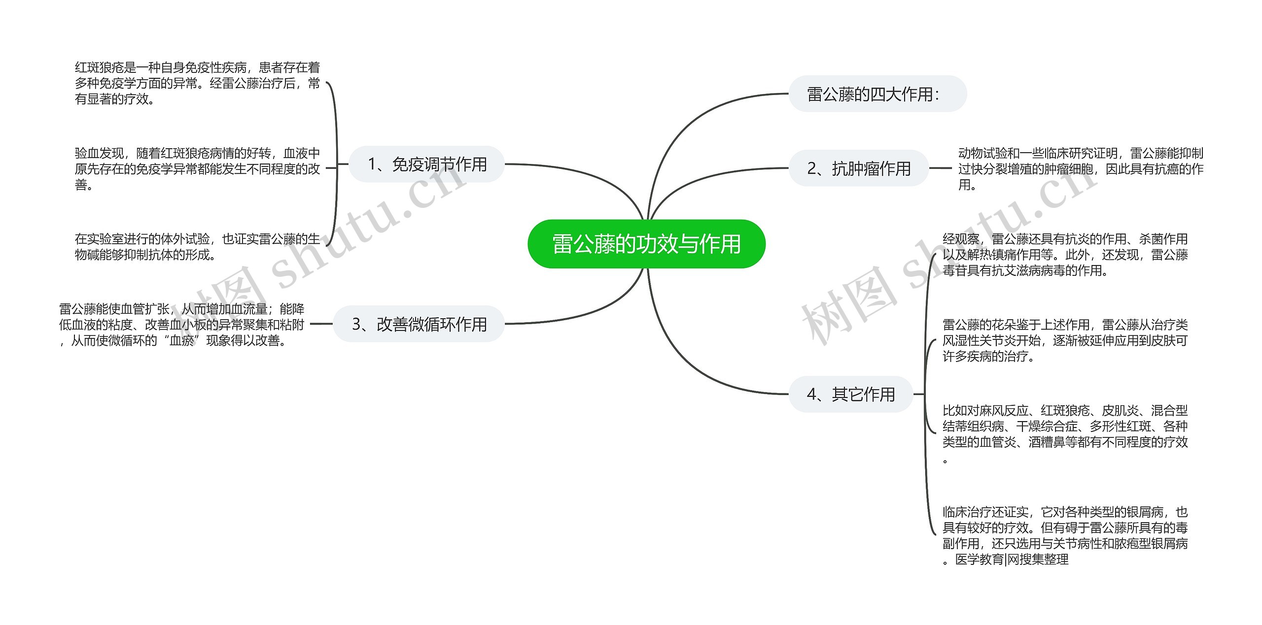 雷公藤的功效与作用