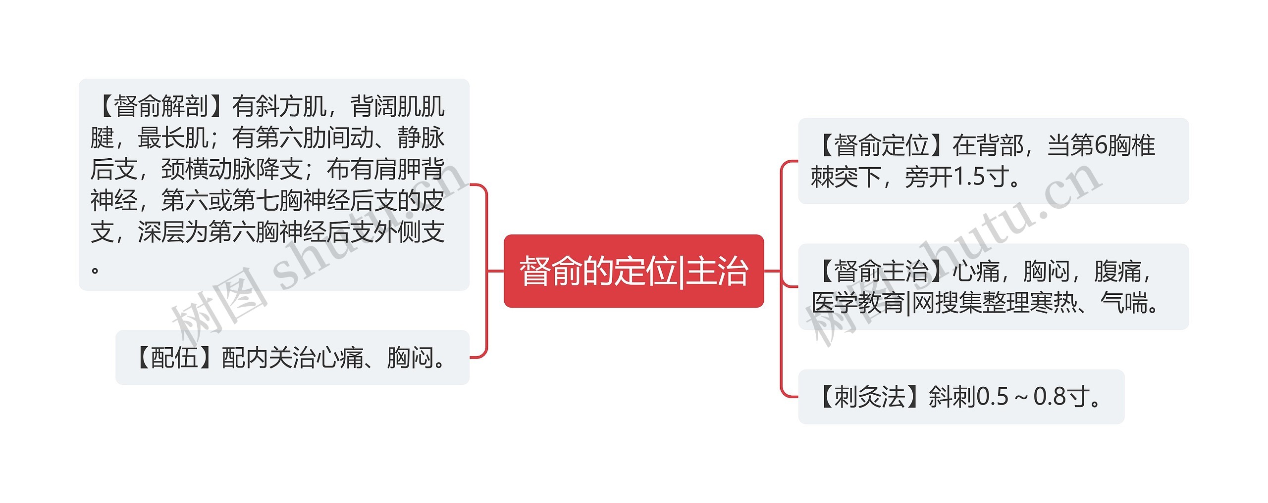 督俞的定位|主治思维导图