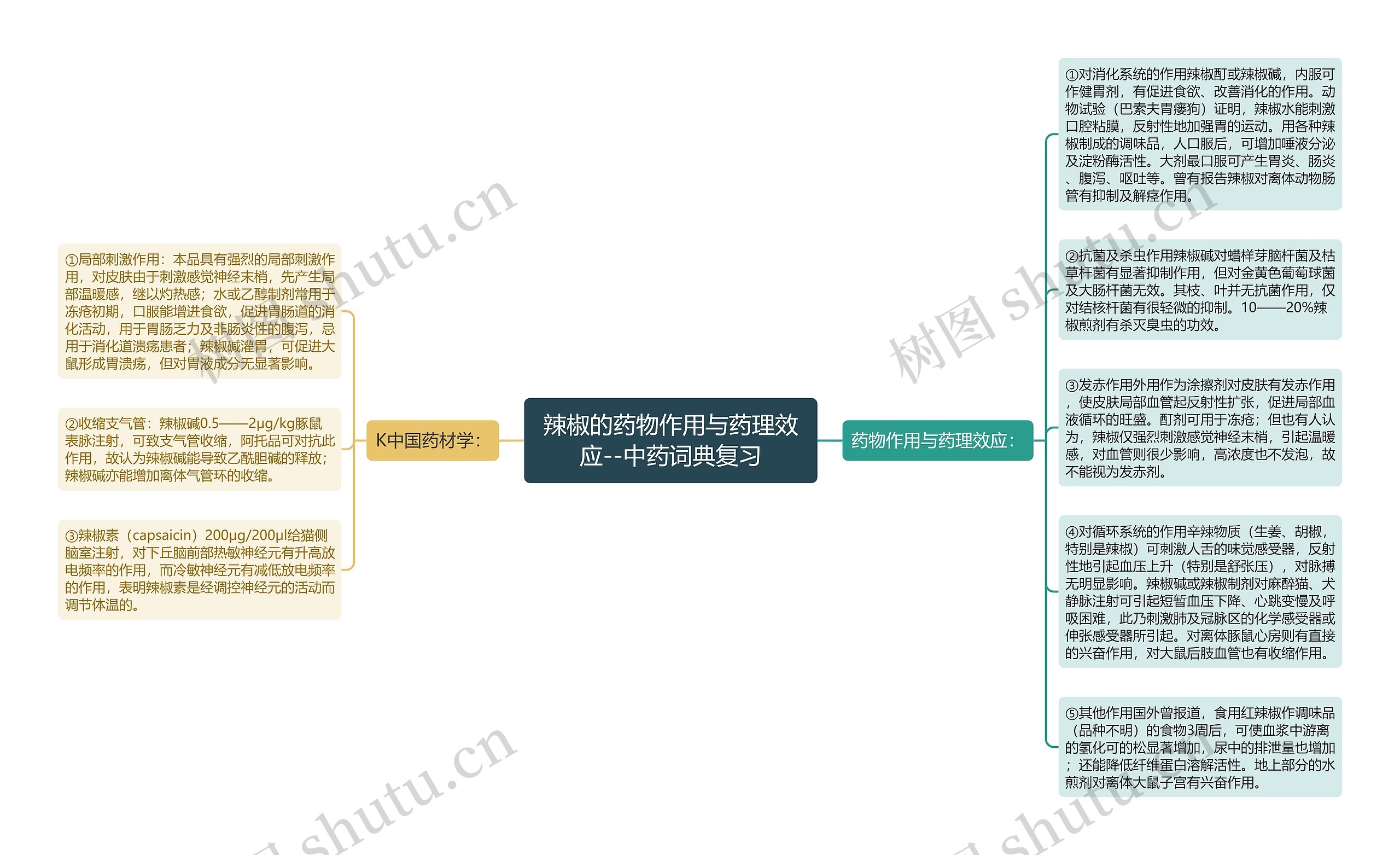 辣椒的药物作用与药理效应--中药词典复习思维导图