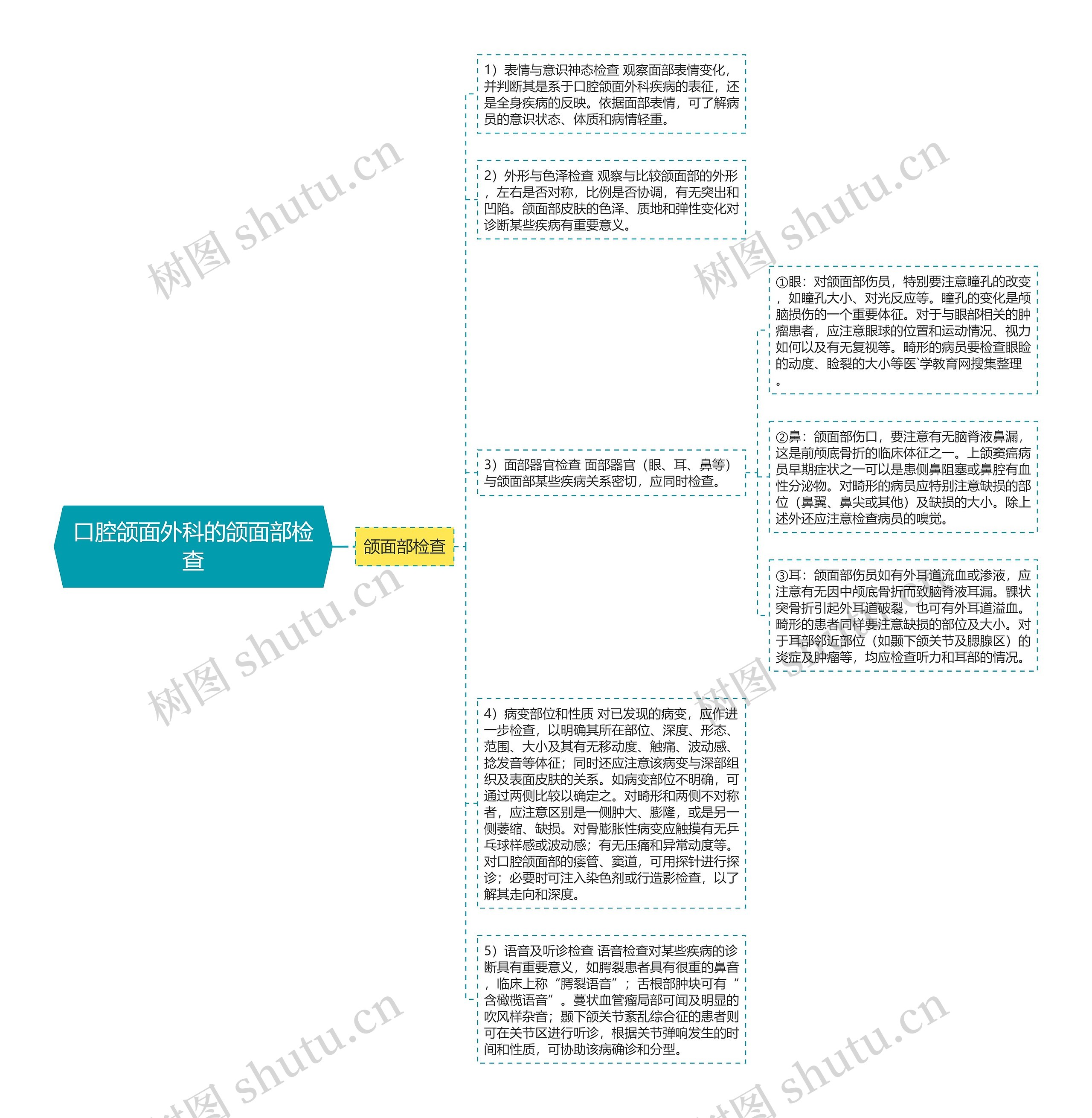 口腔颌面外科的颌面部检查