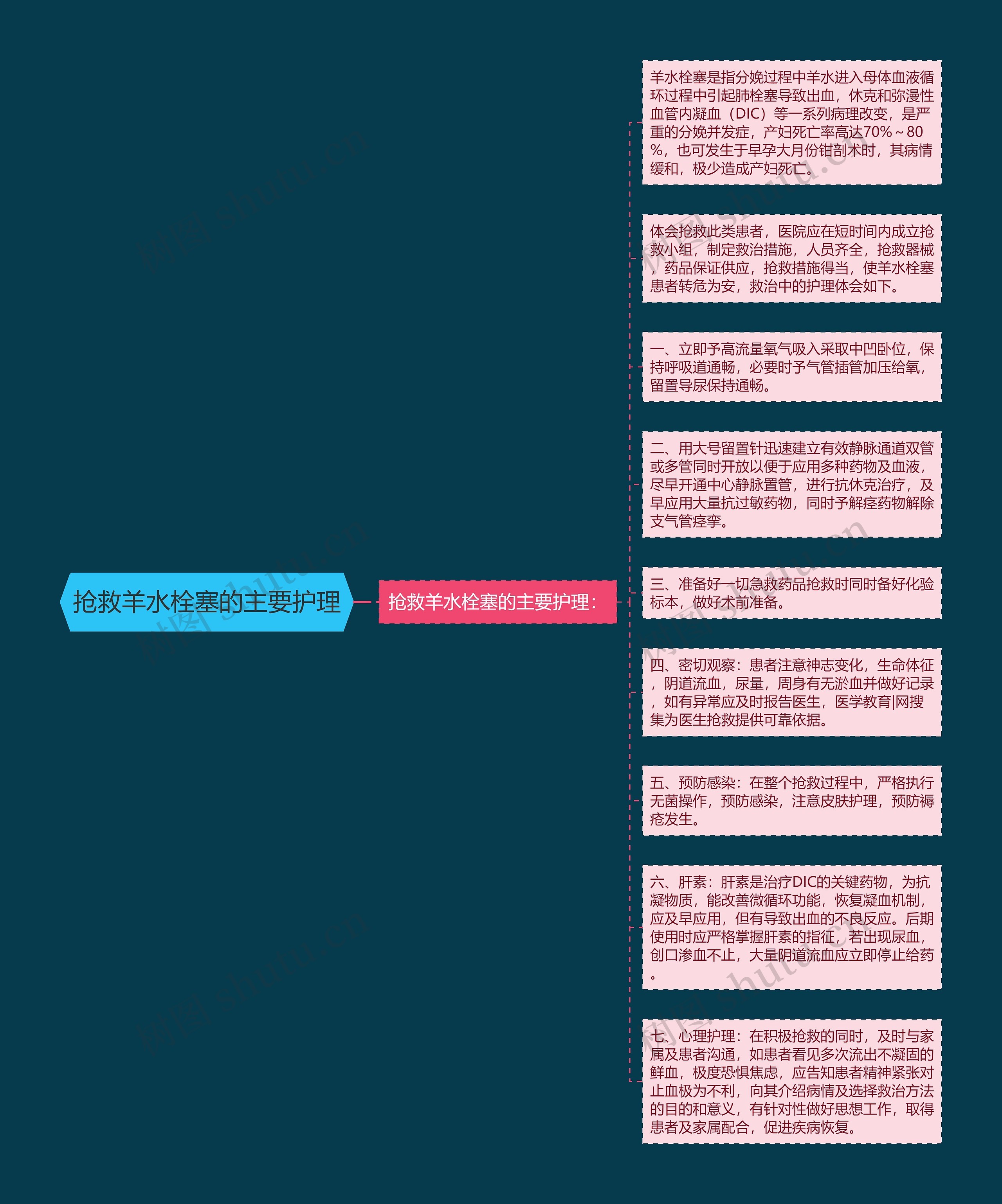 抢救羊水栓塞的主要护理思维导图