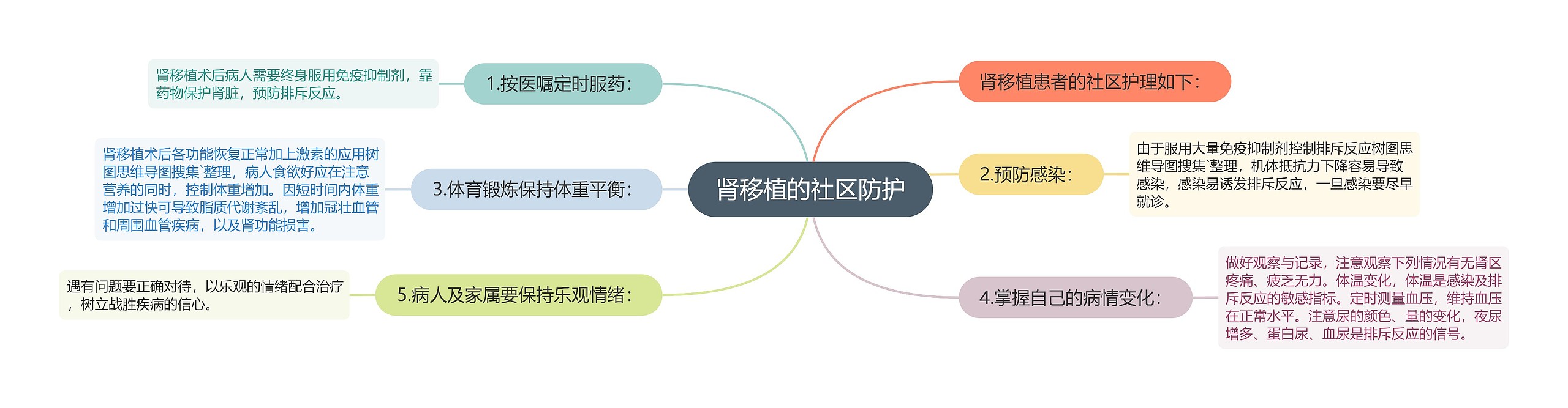 肾移植的社区防护思维导图