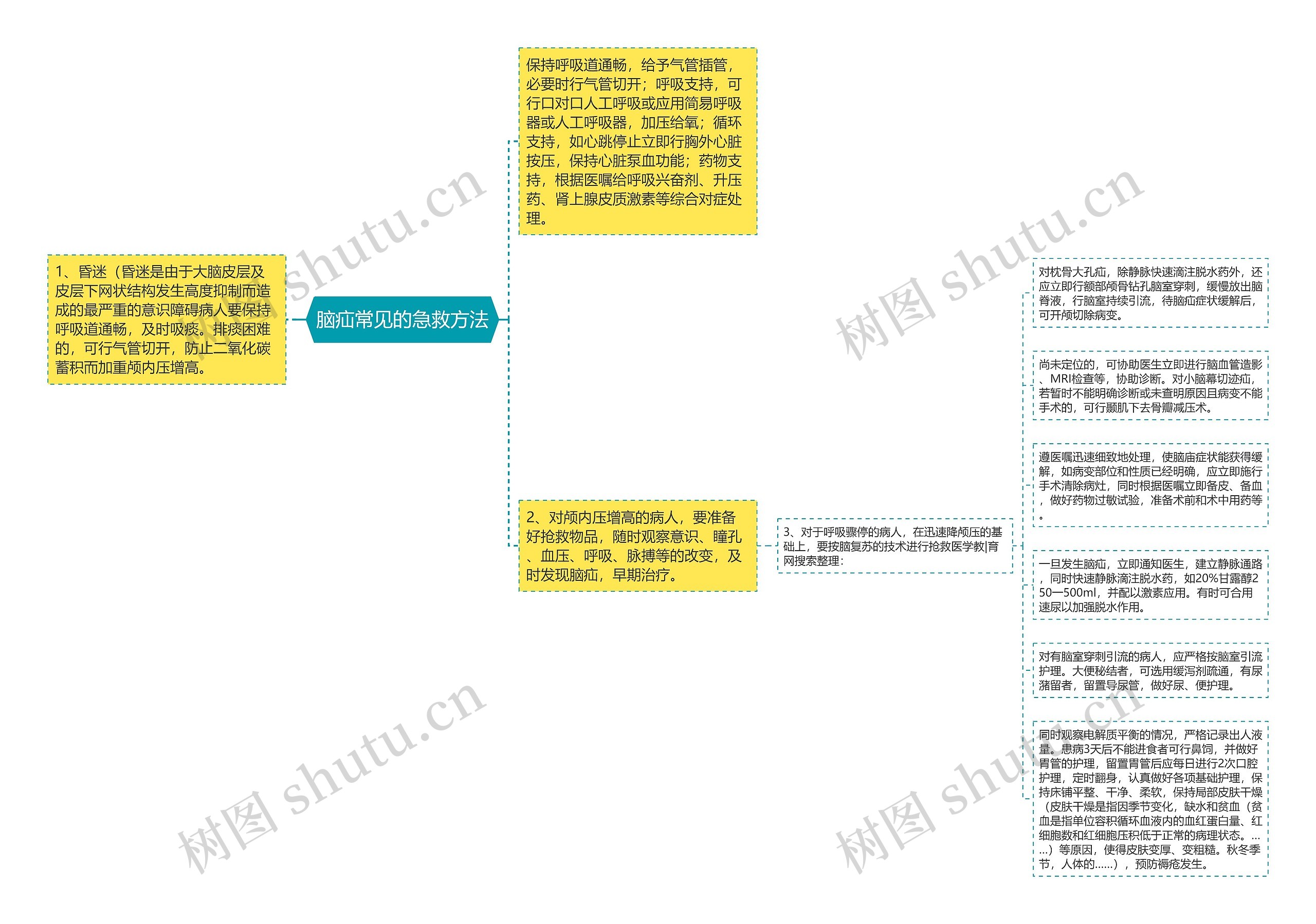 脑疝常见的急救方法思维导图