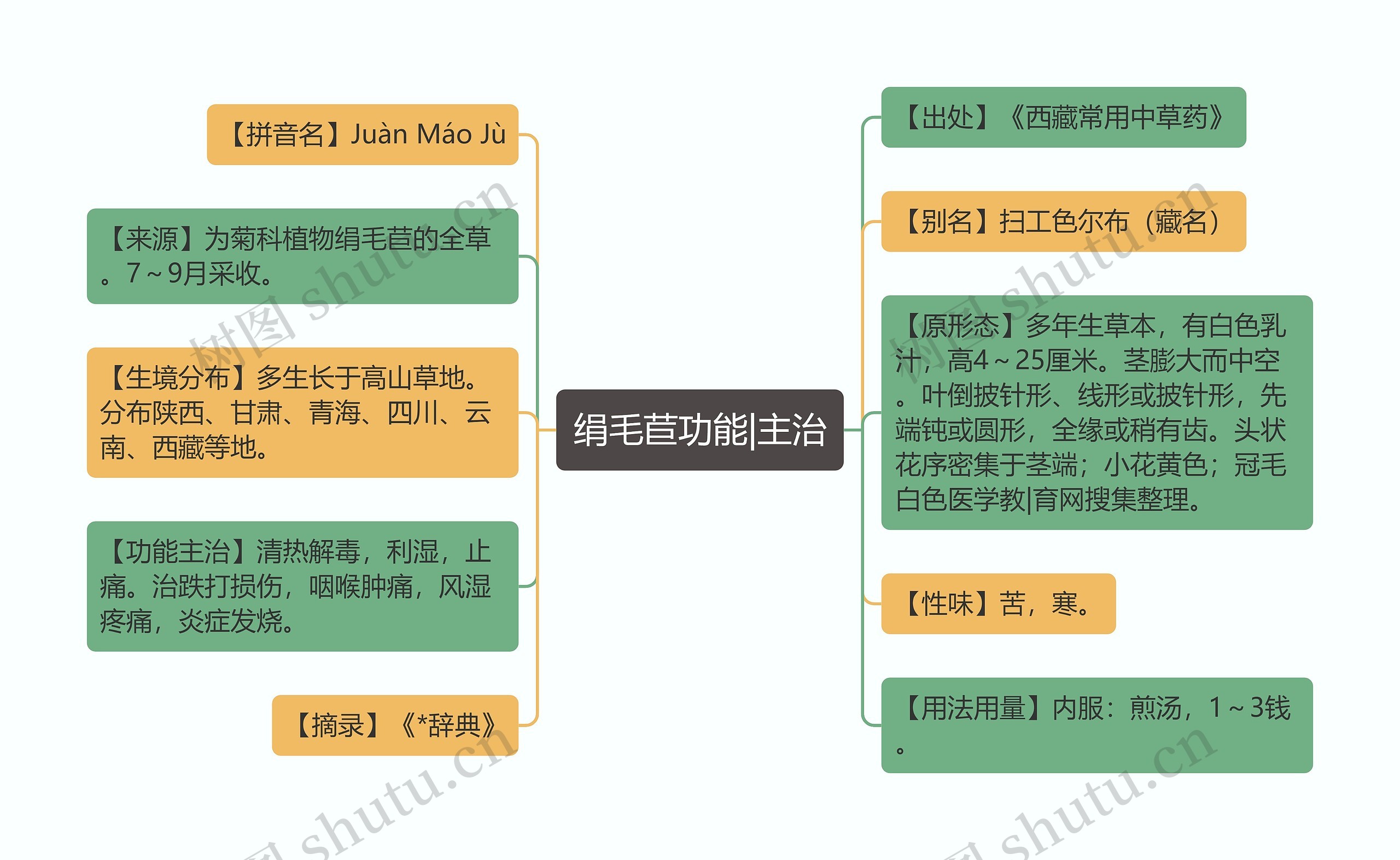 绢毛苣功能|主治
