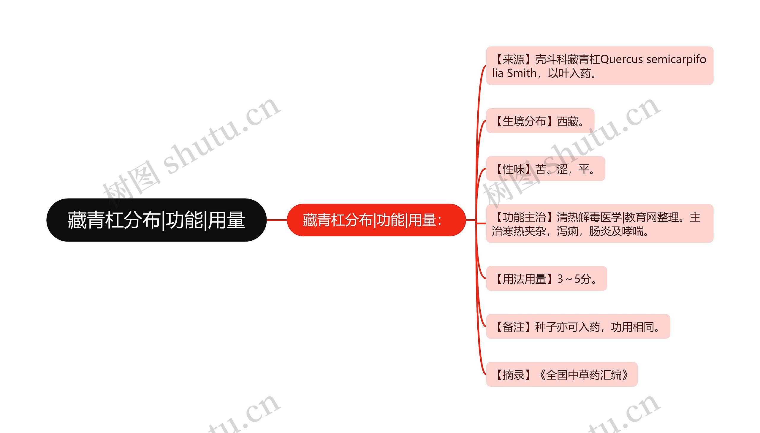 藏青杠分布|功能|用量