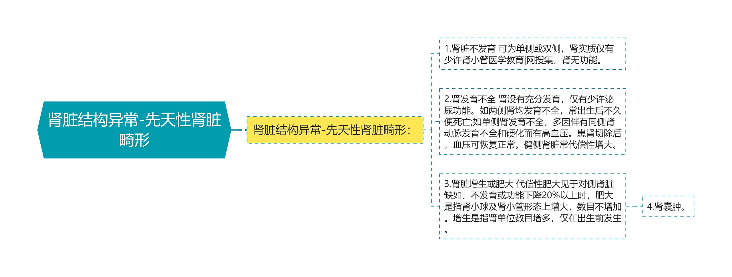 肾脏结构异常-先天性肾脏畸形思维导图