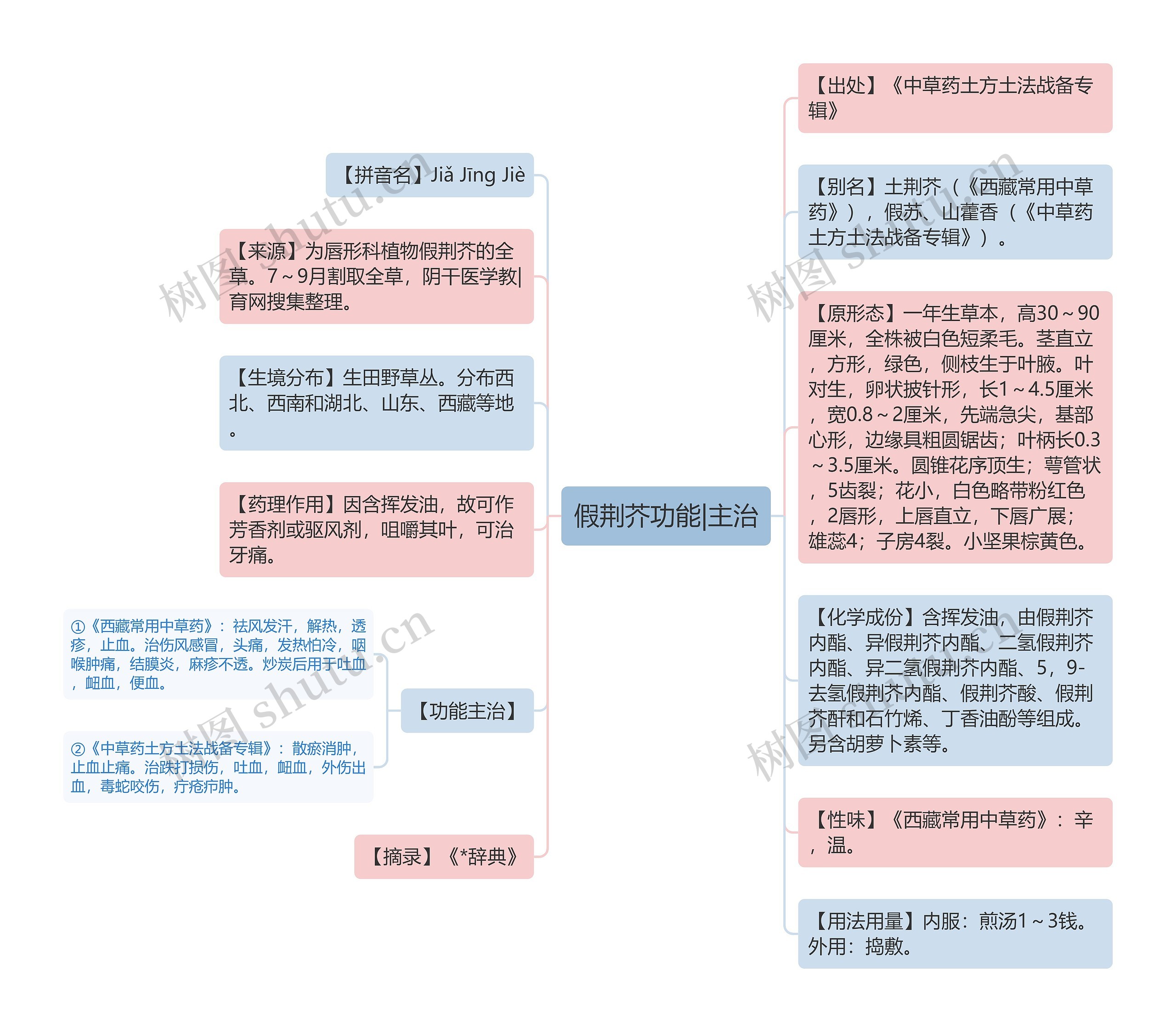 假荆芥功能|主治思维导图