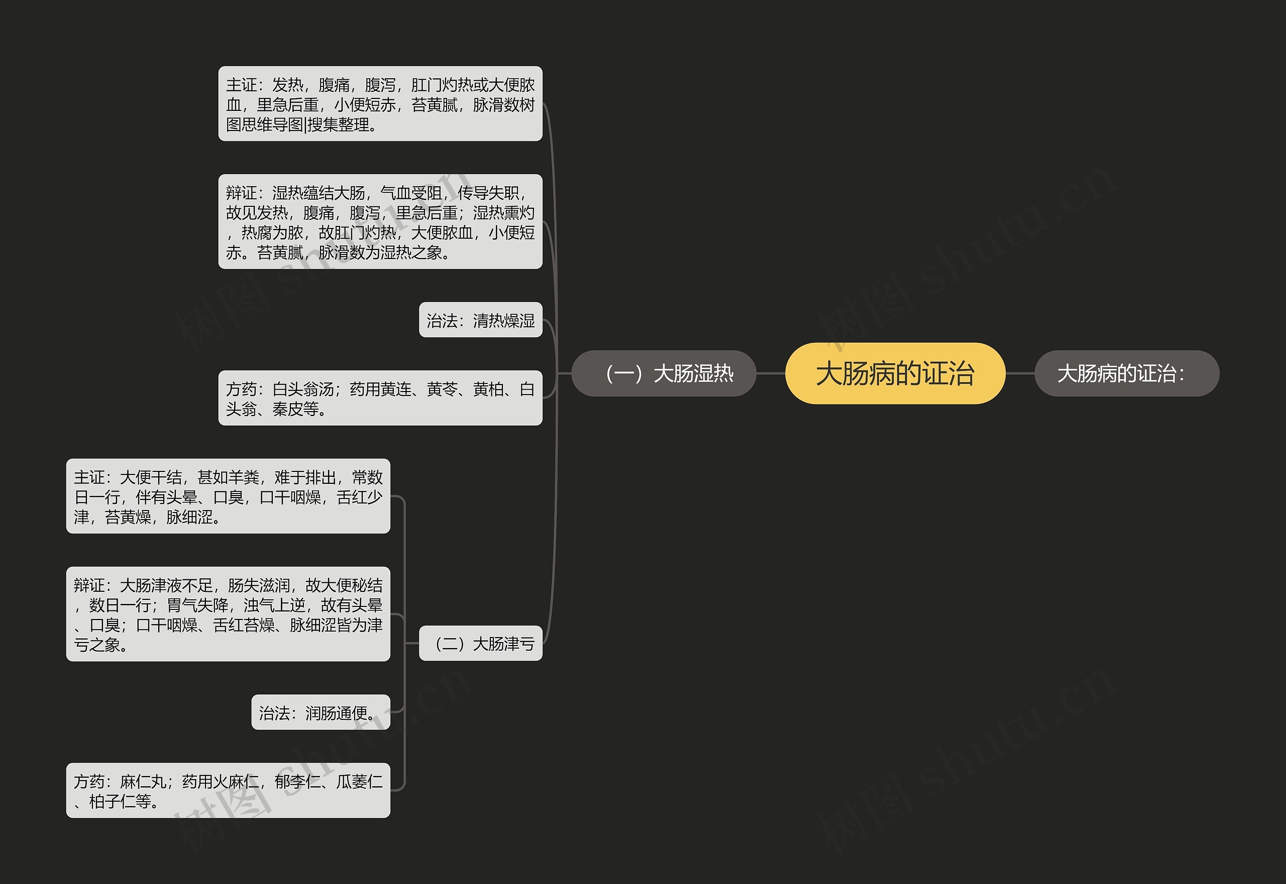 大肠病的证治思维导图