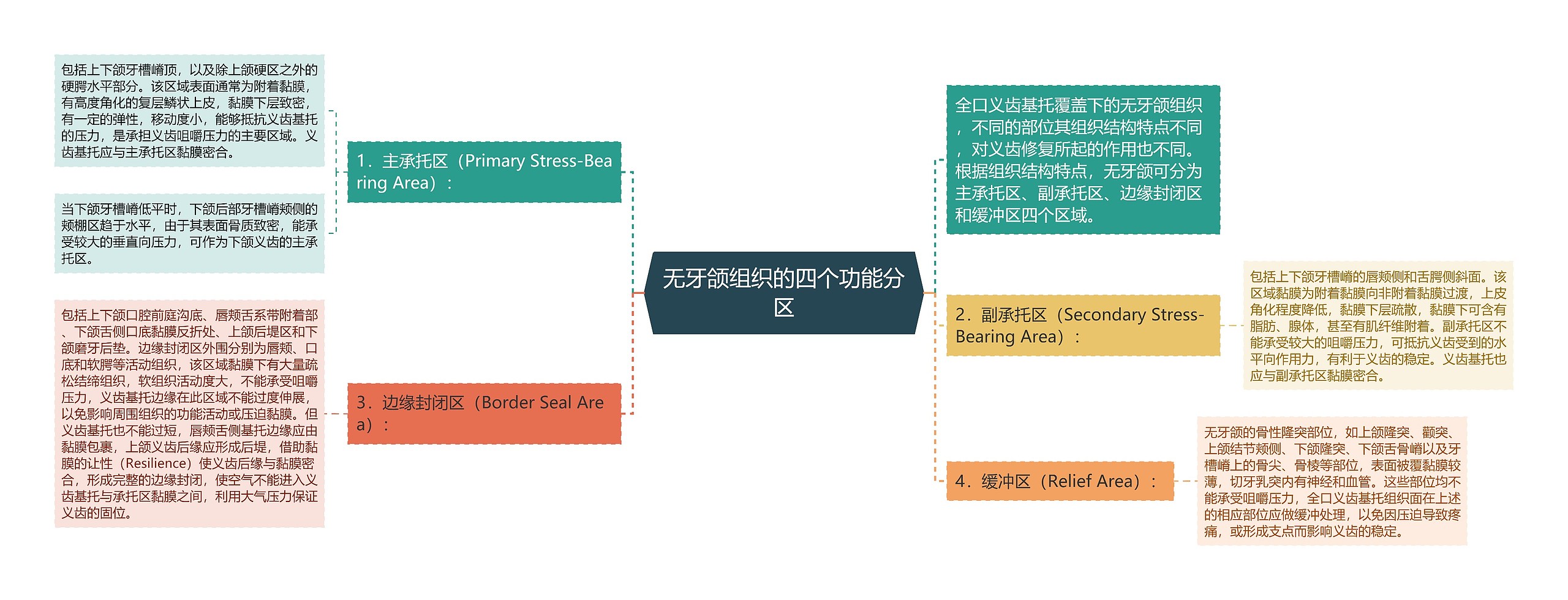 无牙颌组织的四个功能分区思维导图