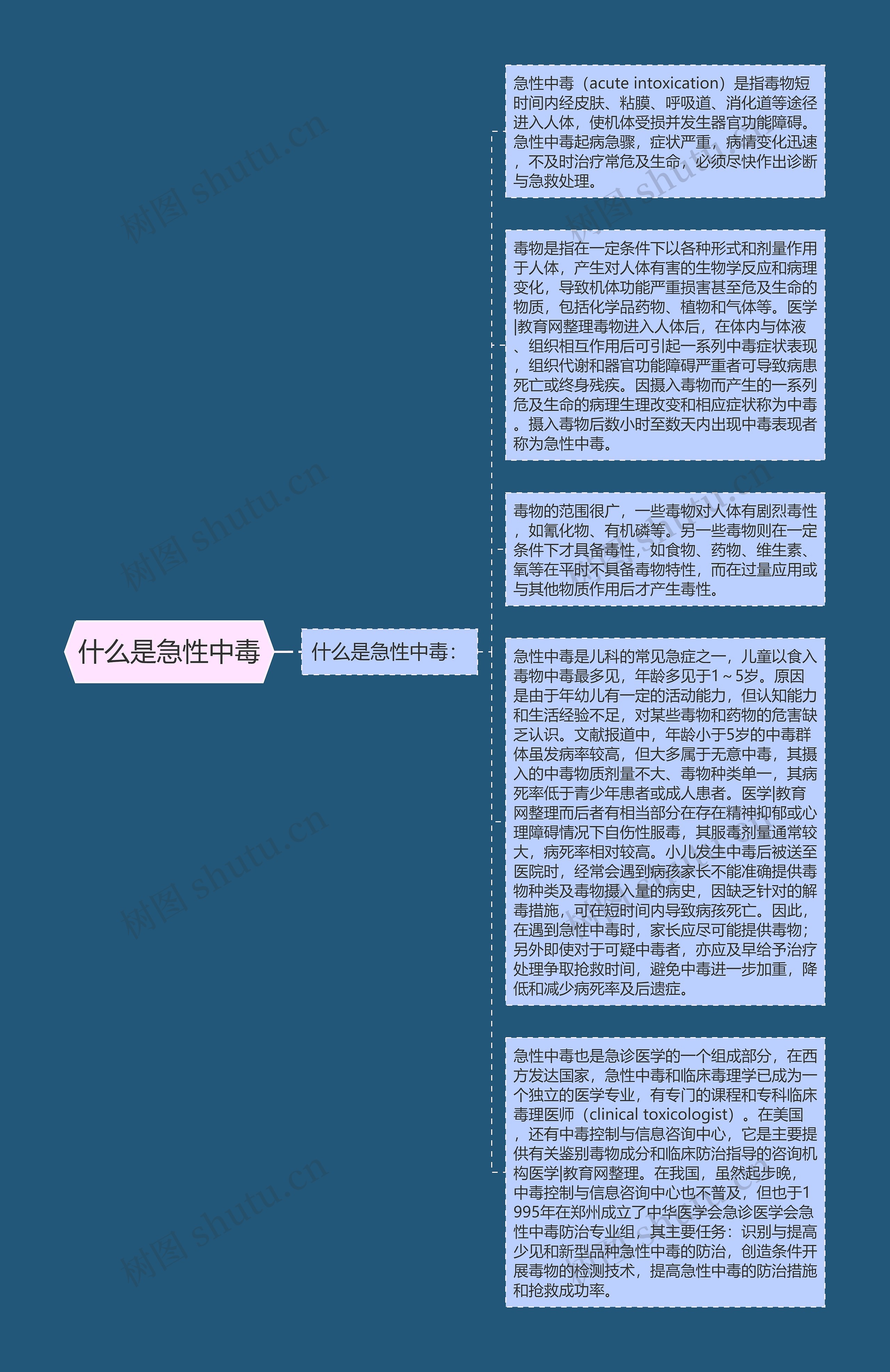 什么是急性中毒思维导图