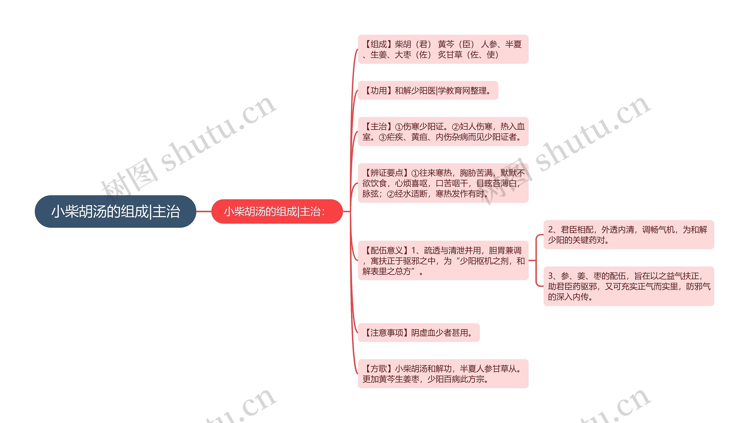 小柴胡汤的组成|主治思维导图