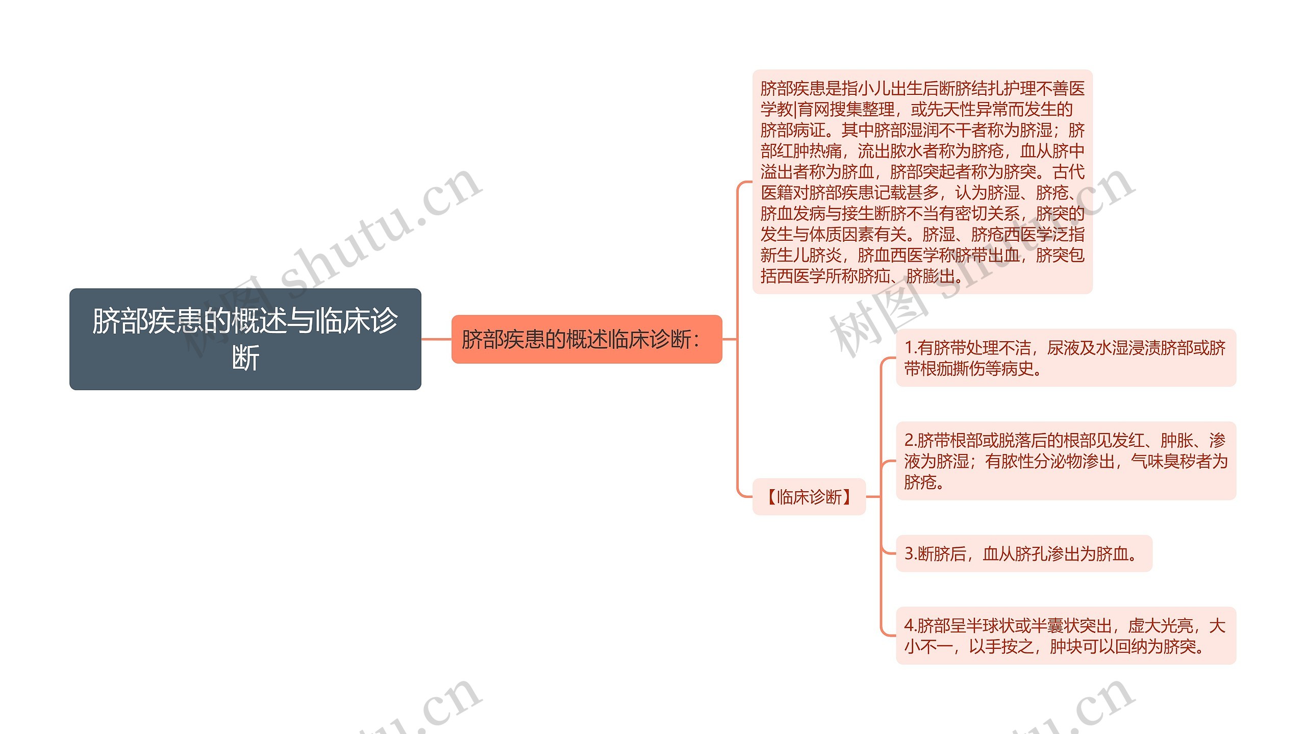 脐部疾患的概述与临床诊断
