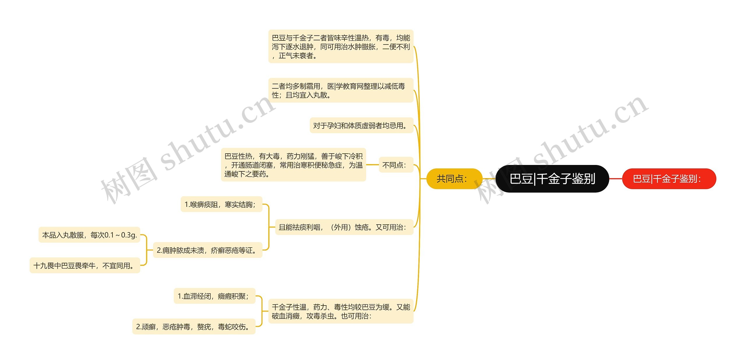 巴豆|千金子鉴别思维导图