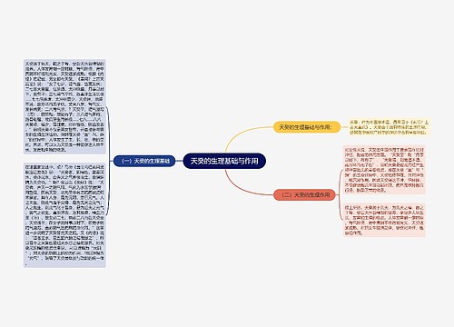 天癸的生理基础与作用