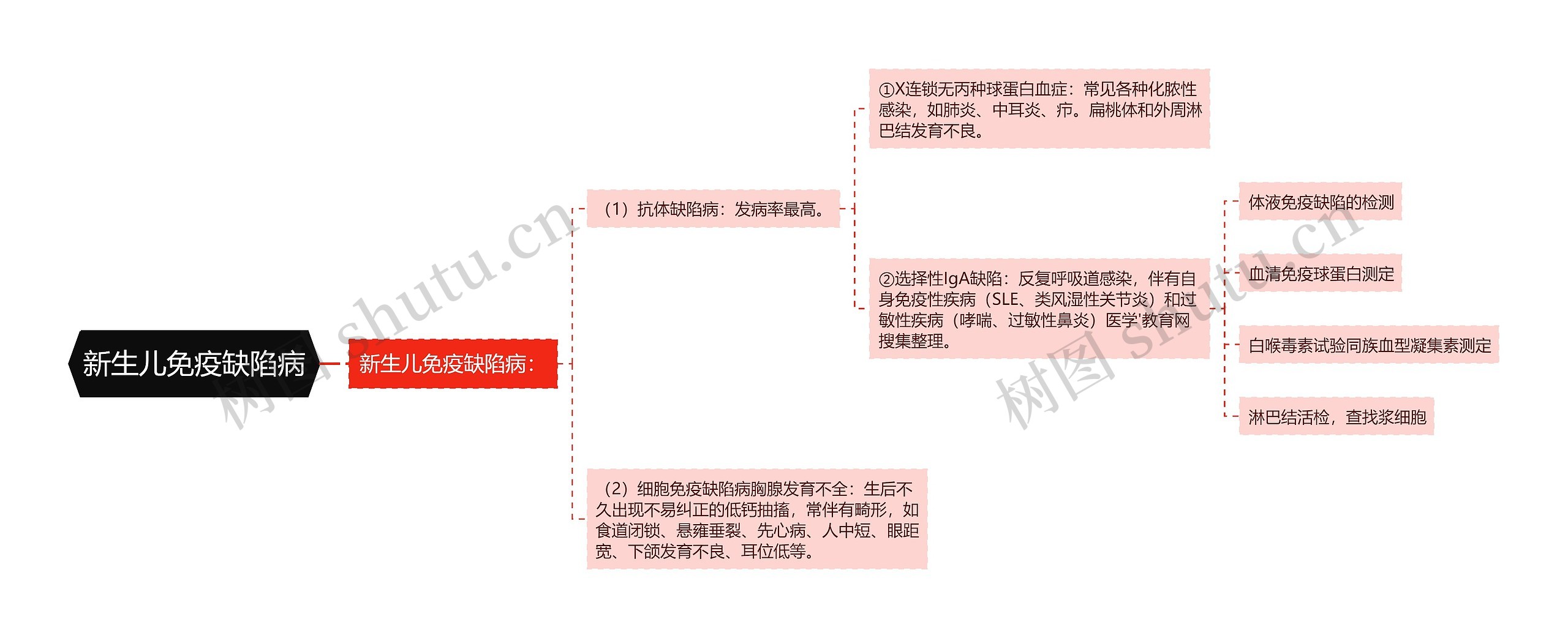 新生儿免疫缺陷病思维导图