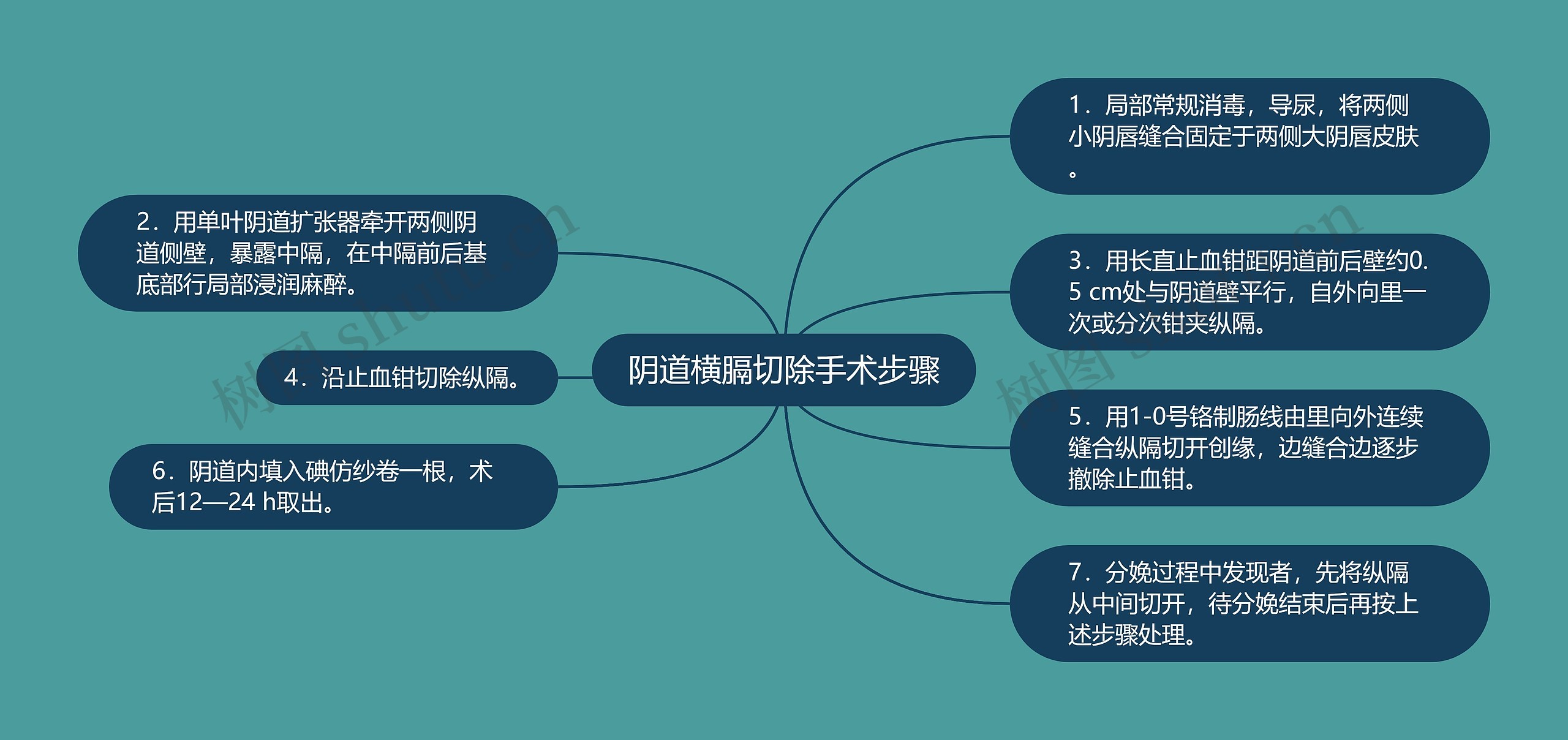 阴道横膈切除手术步骤思维导图