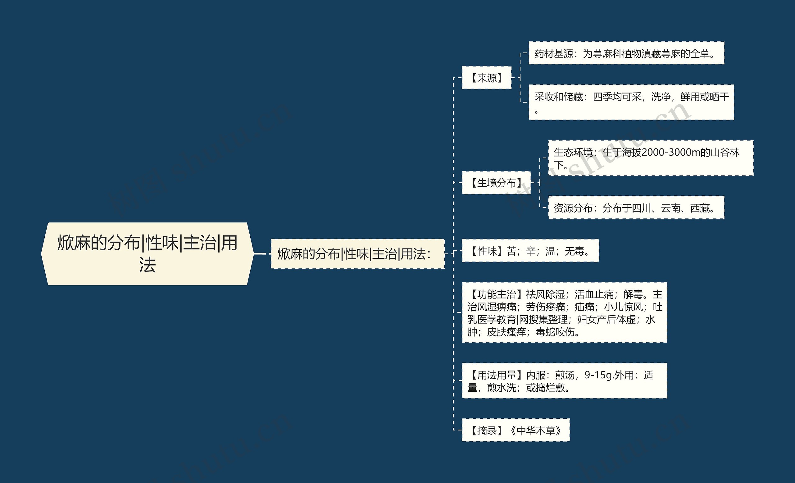 焮麻的分布|性味|主治|用法思维导图