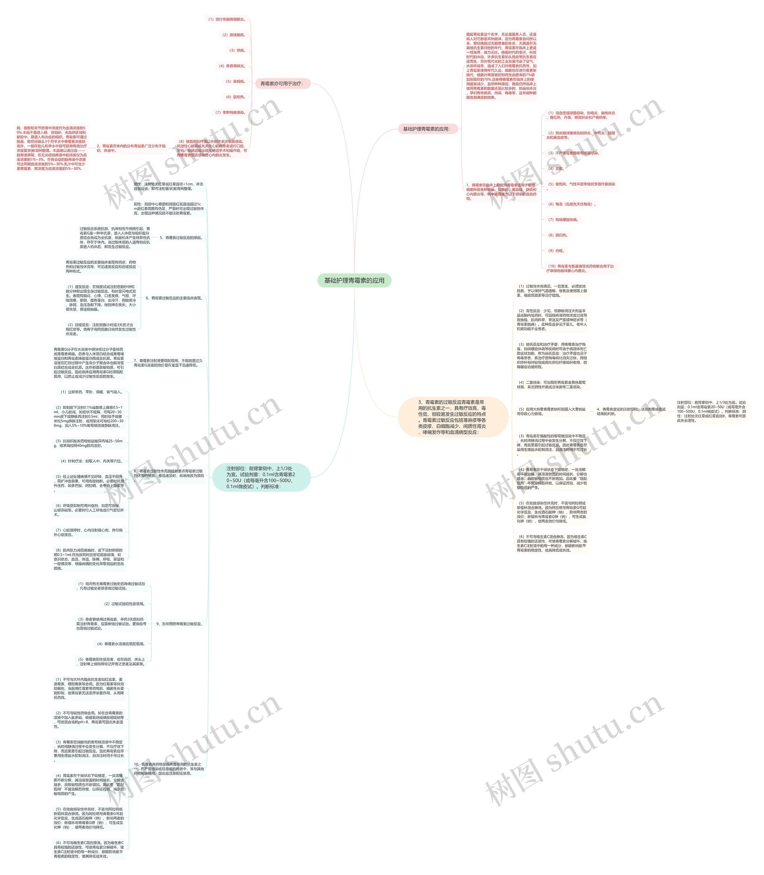 基础护理青霉素的应用思维导图