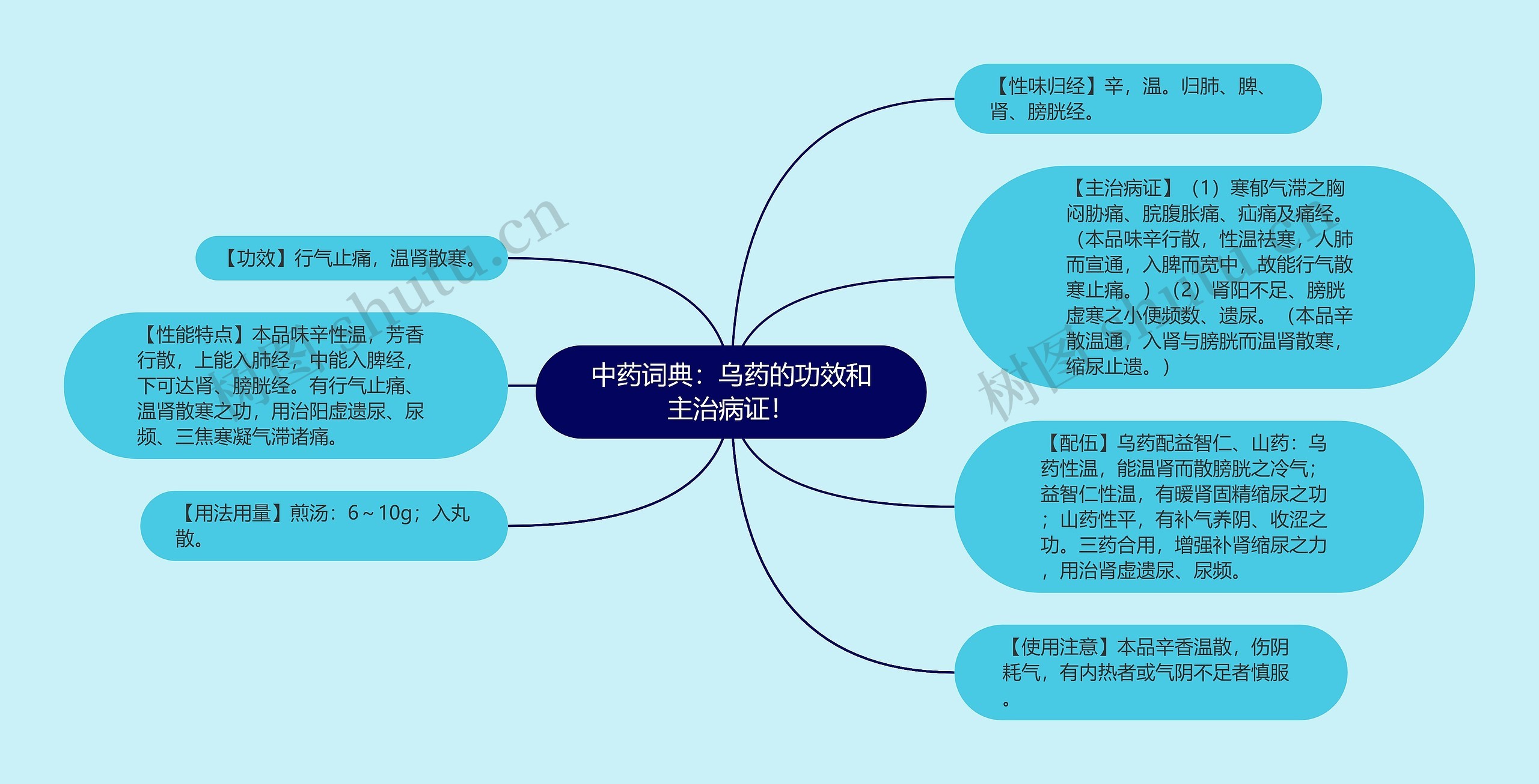 中药词典：乌药的功效和主治病证！思维导图