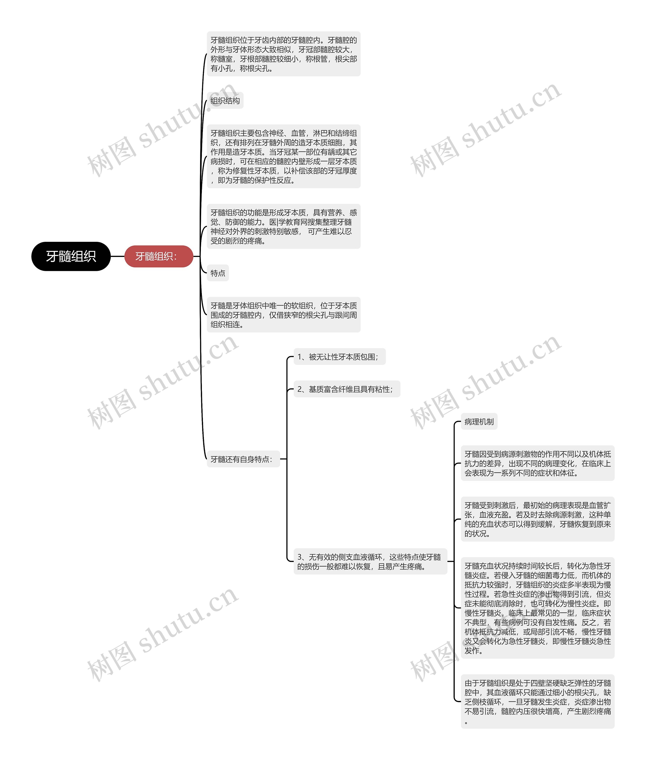 牙髓组织思维导图