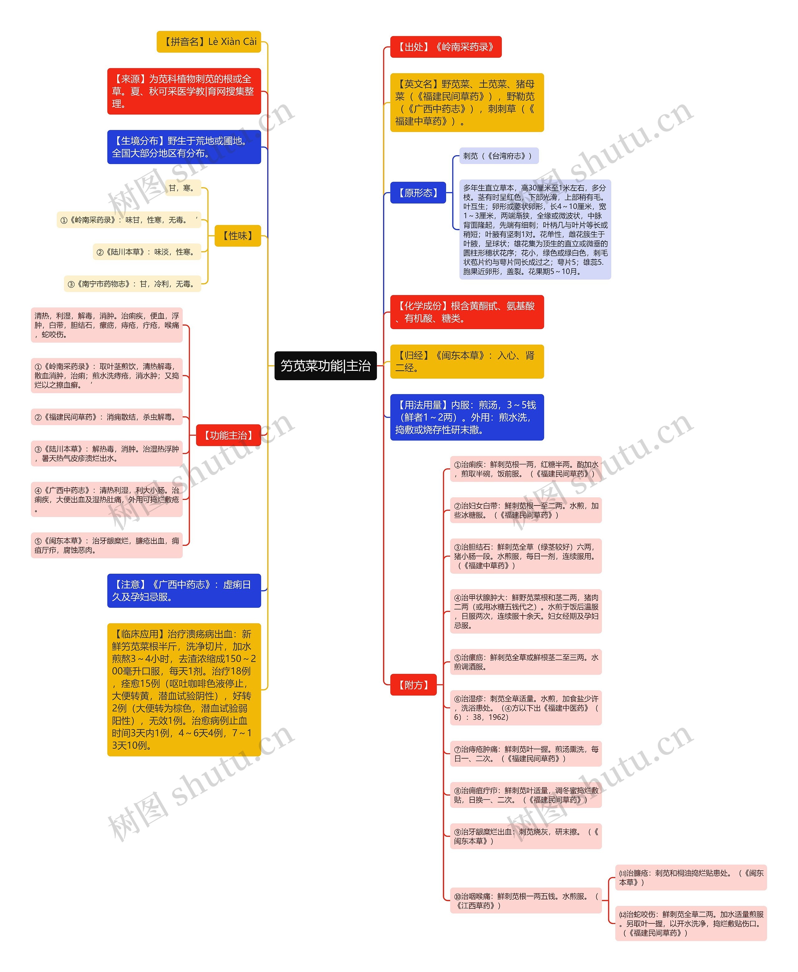竻苋菜功能|主治思维导图