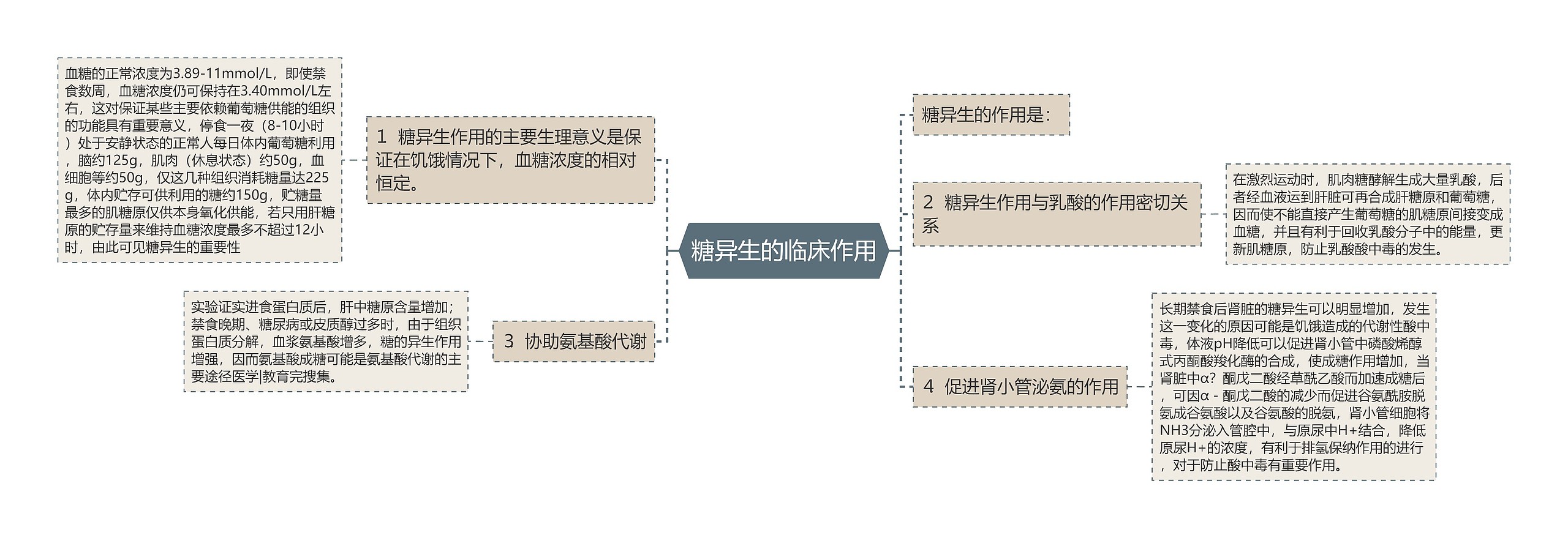 糖异生的临床作用思维导图