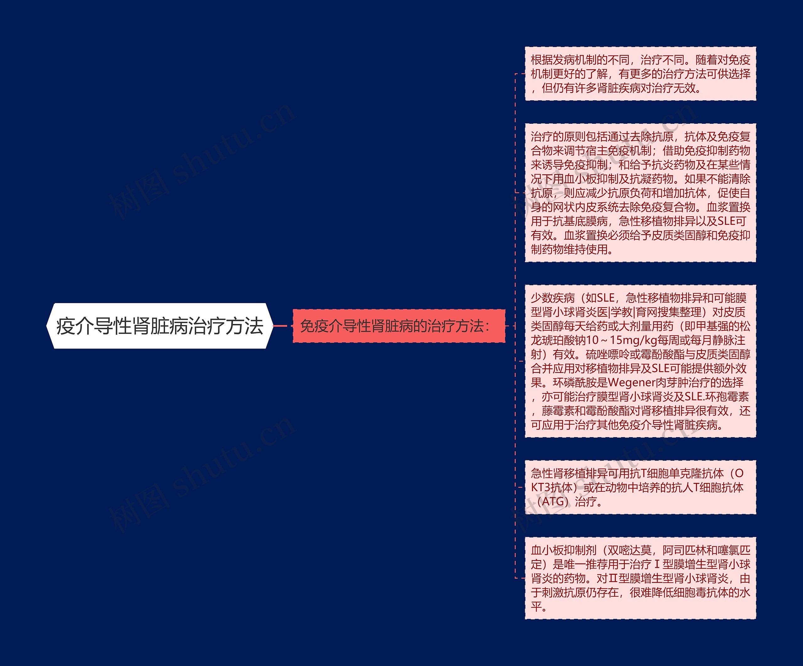 疫介导性肾脏病治疗方法思维导图