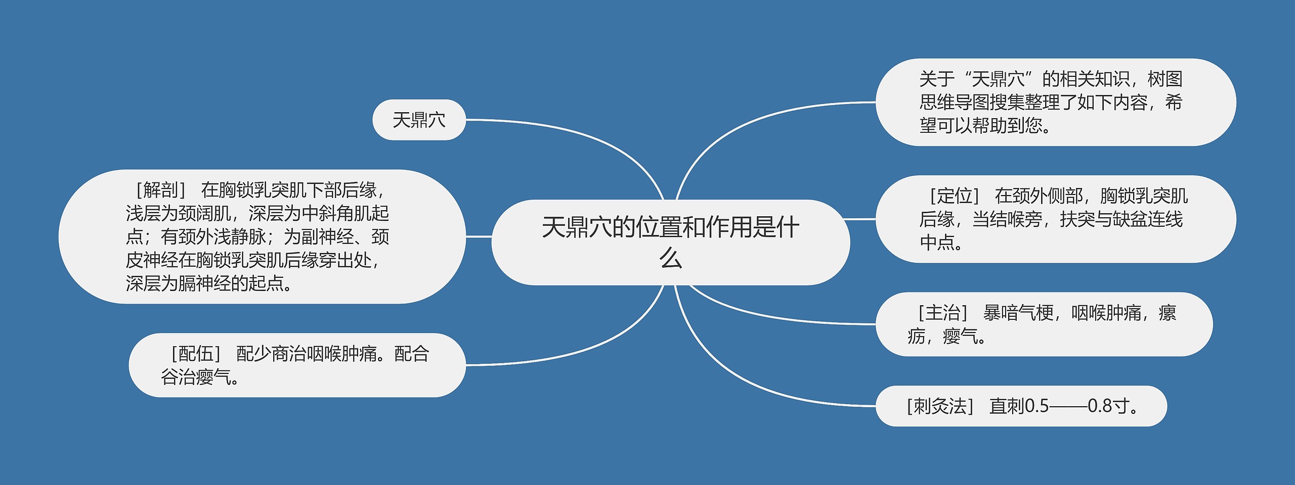 天鼎穴的位置和作用是什么