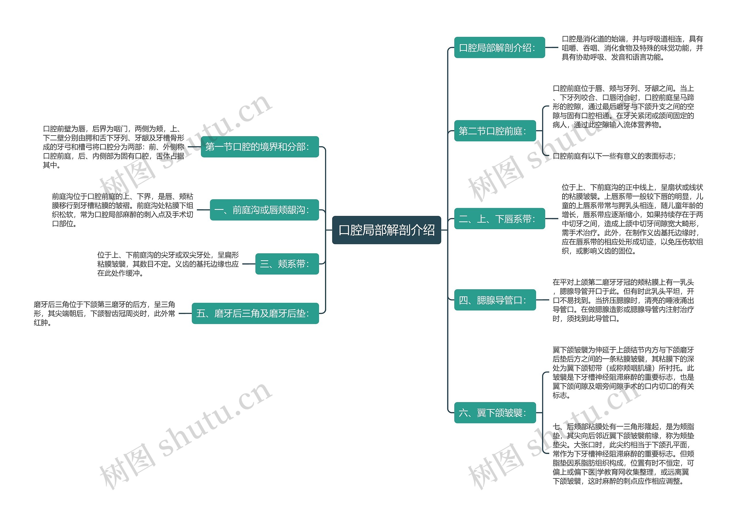 口腔局部解剖介绍思维导图