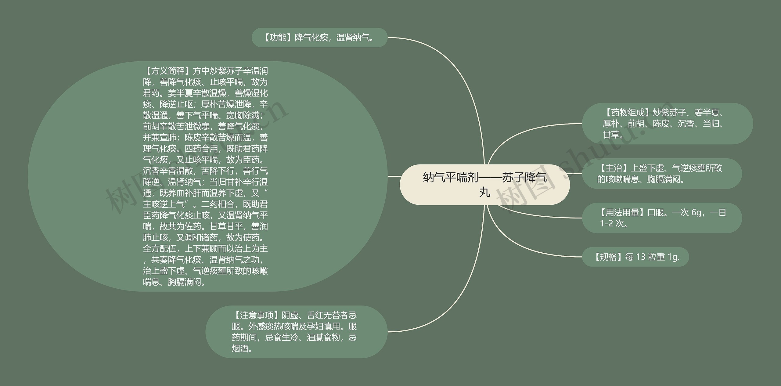 纳气平喘剂——苏子降气丸思维导图