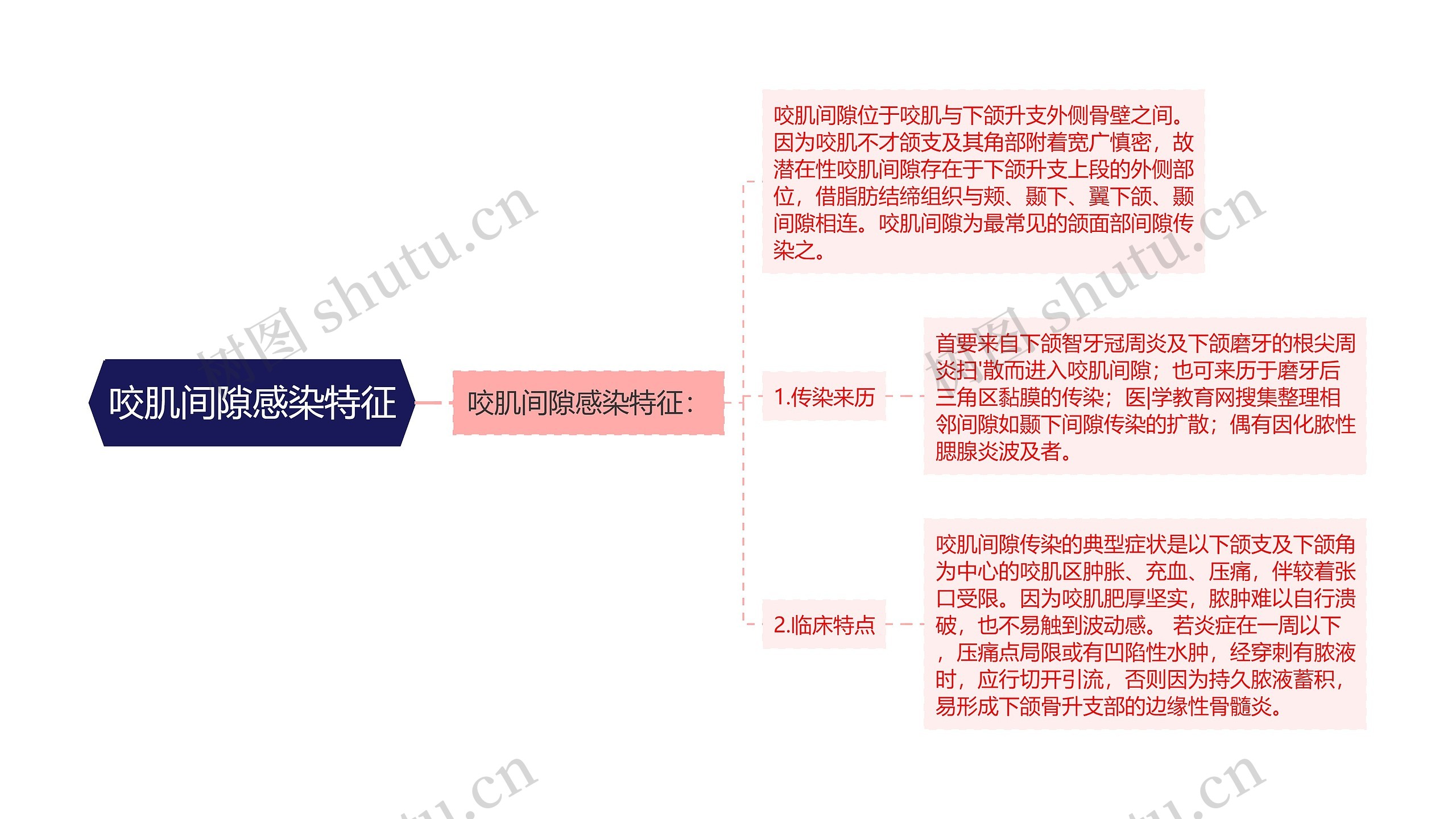 咬肌间隙感染特征思维导图