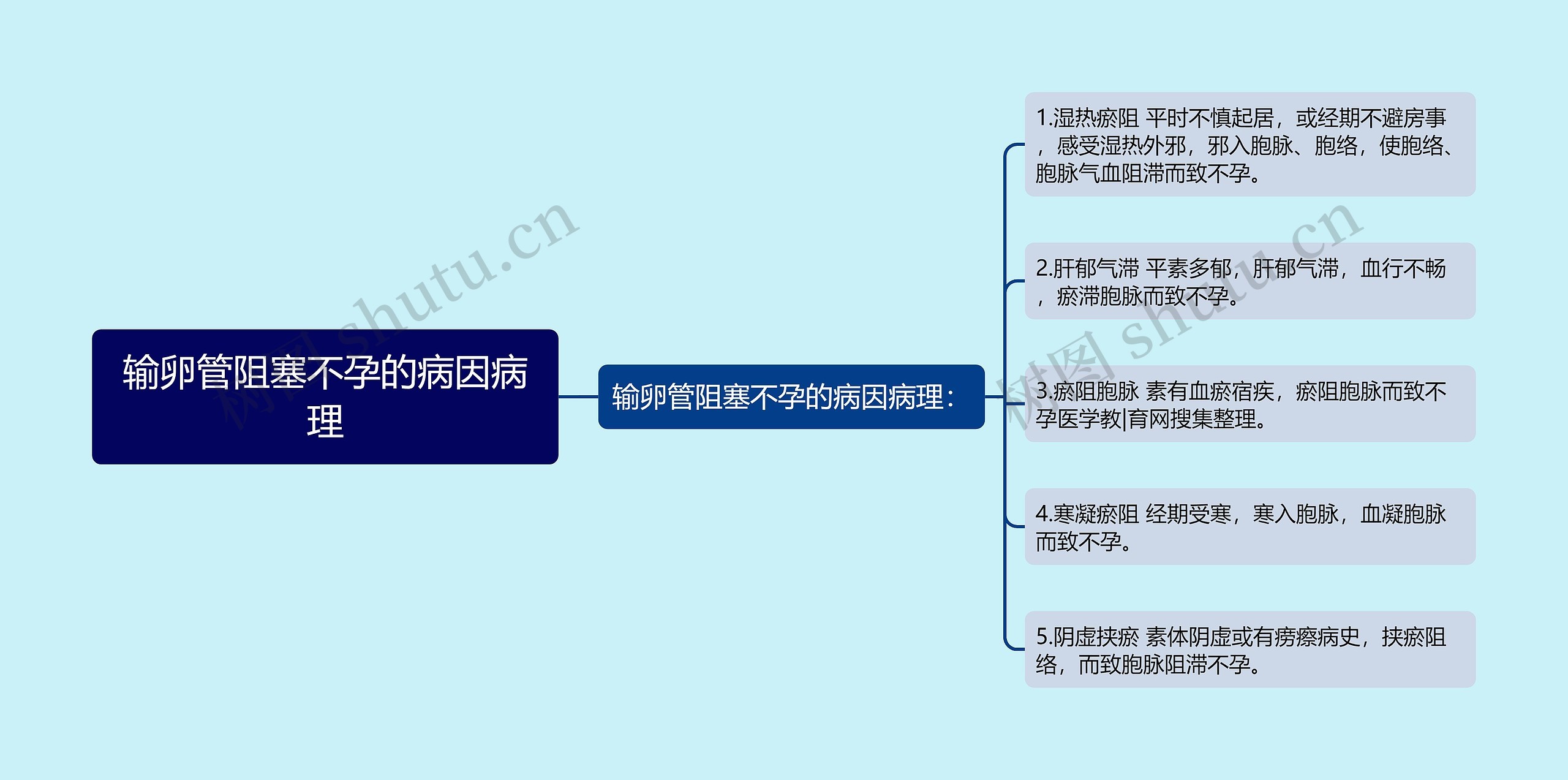 输卵管阻塞不孕的病因病理思维导图