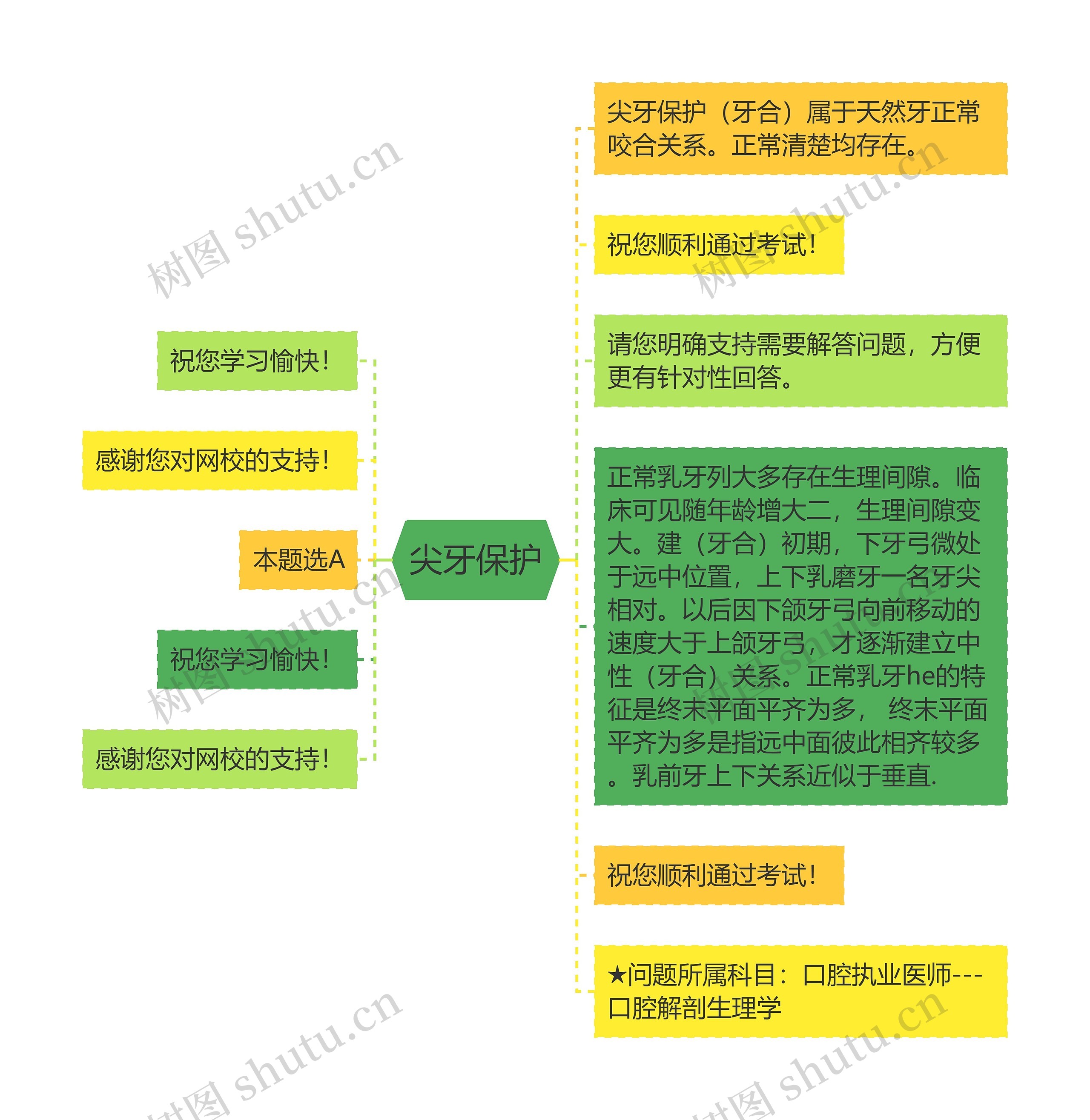 尖牙保护思维导图