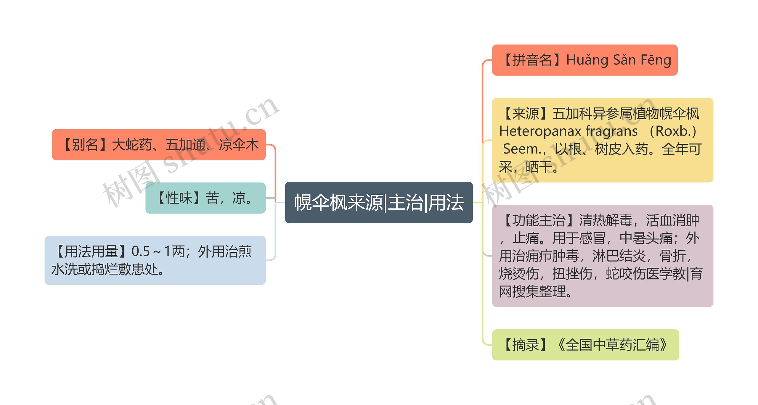 幌伞枫来源|主治|用法思维导图