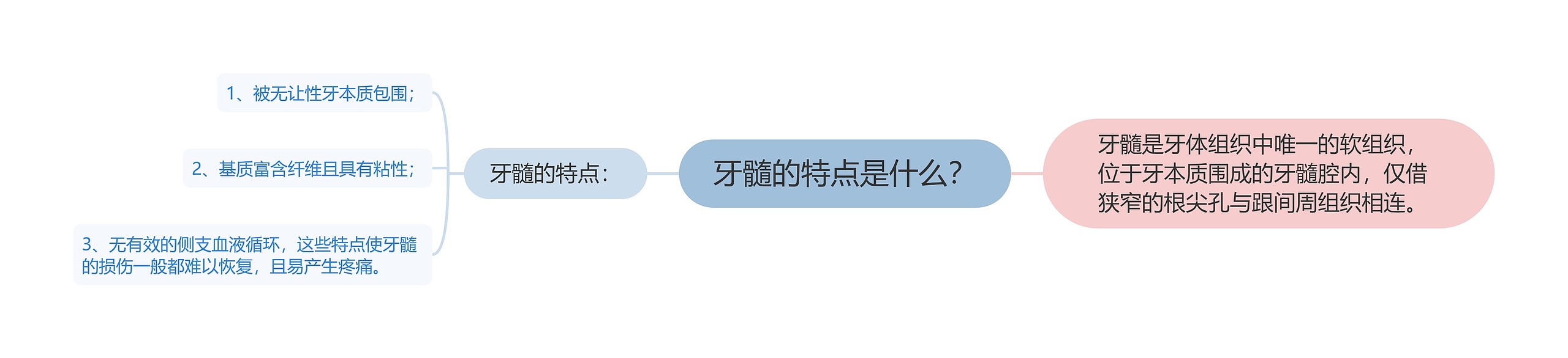 牙髓的特点是什么? 牙髓的特点是什么?