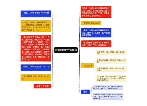 布狗尾的功效与作用