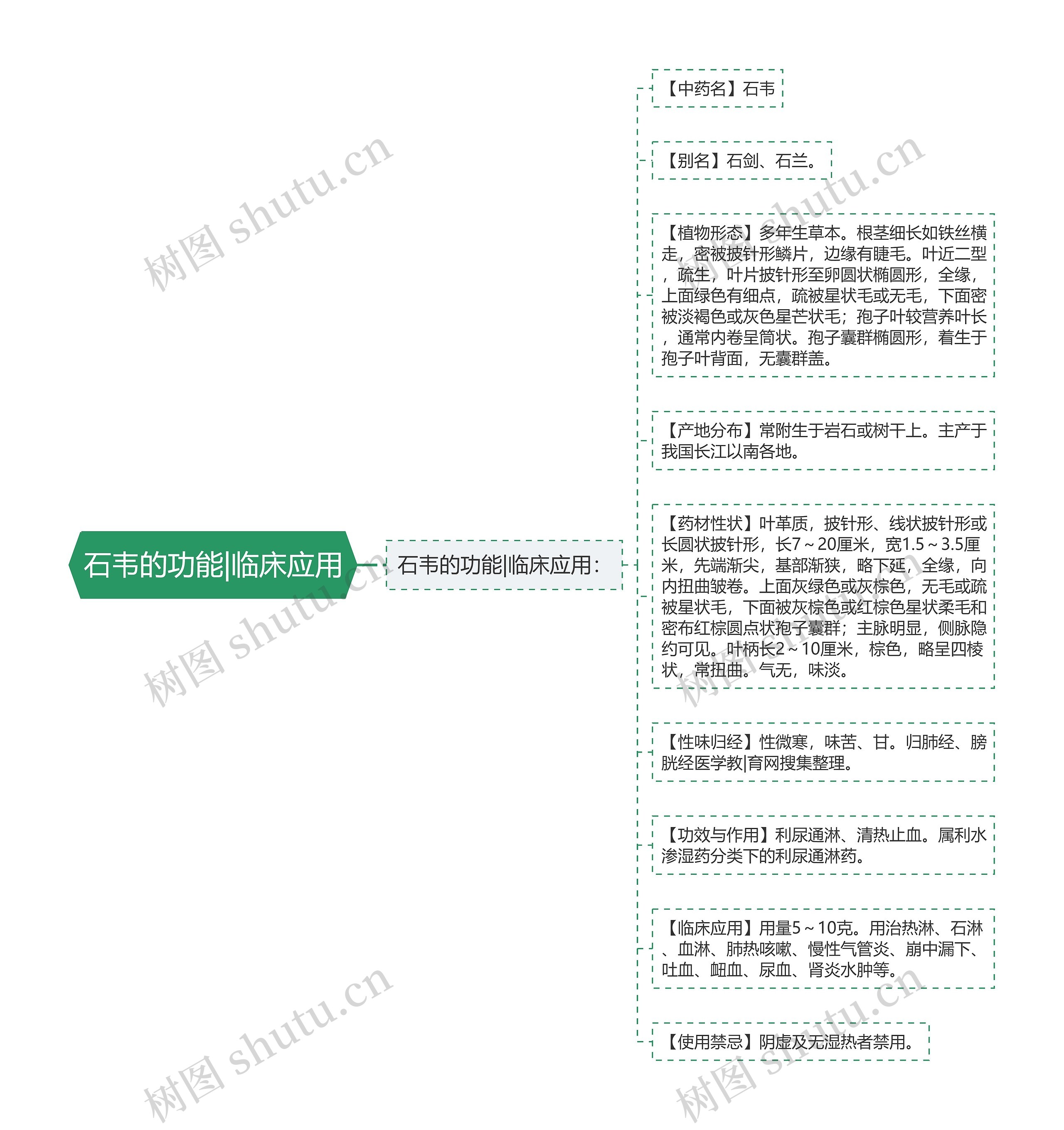 石韦的功能|临床应用