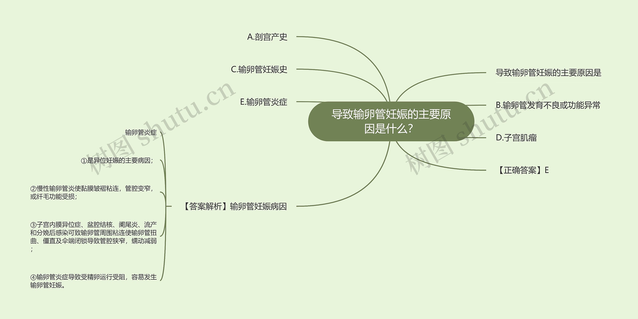 导致输卵管妊娠的主要原因是什么？思维导图