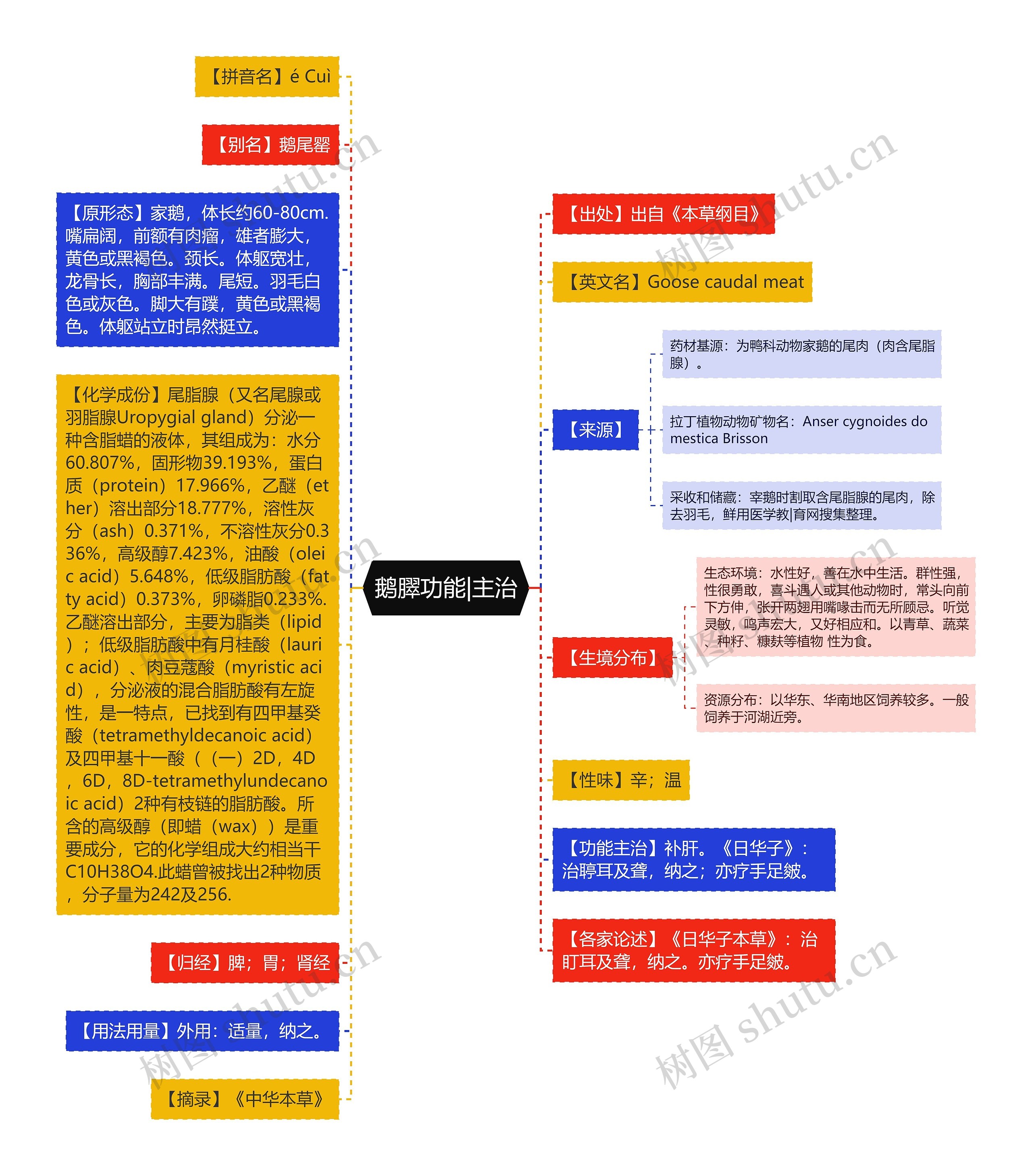 鹅臎功能|主治思维导图