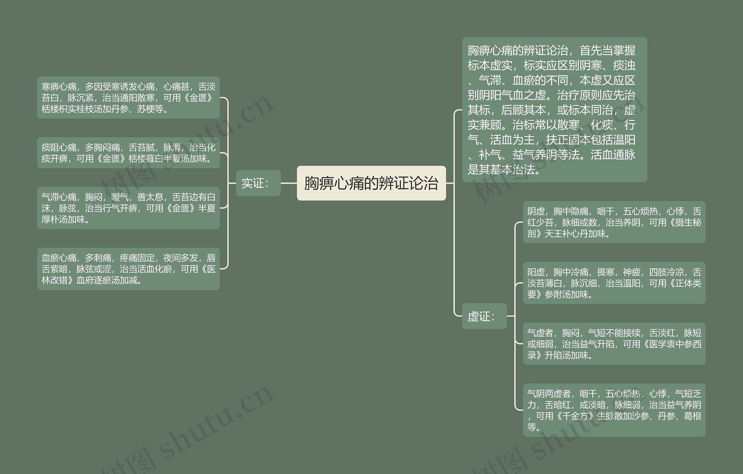 胸痹心痛的辨证论治