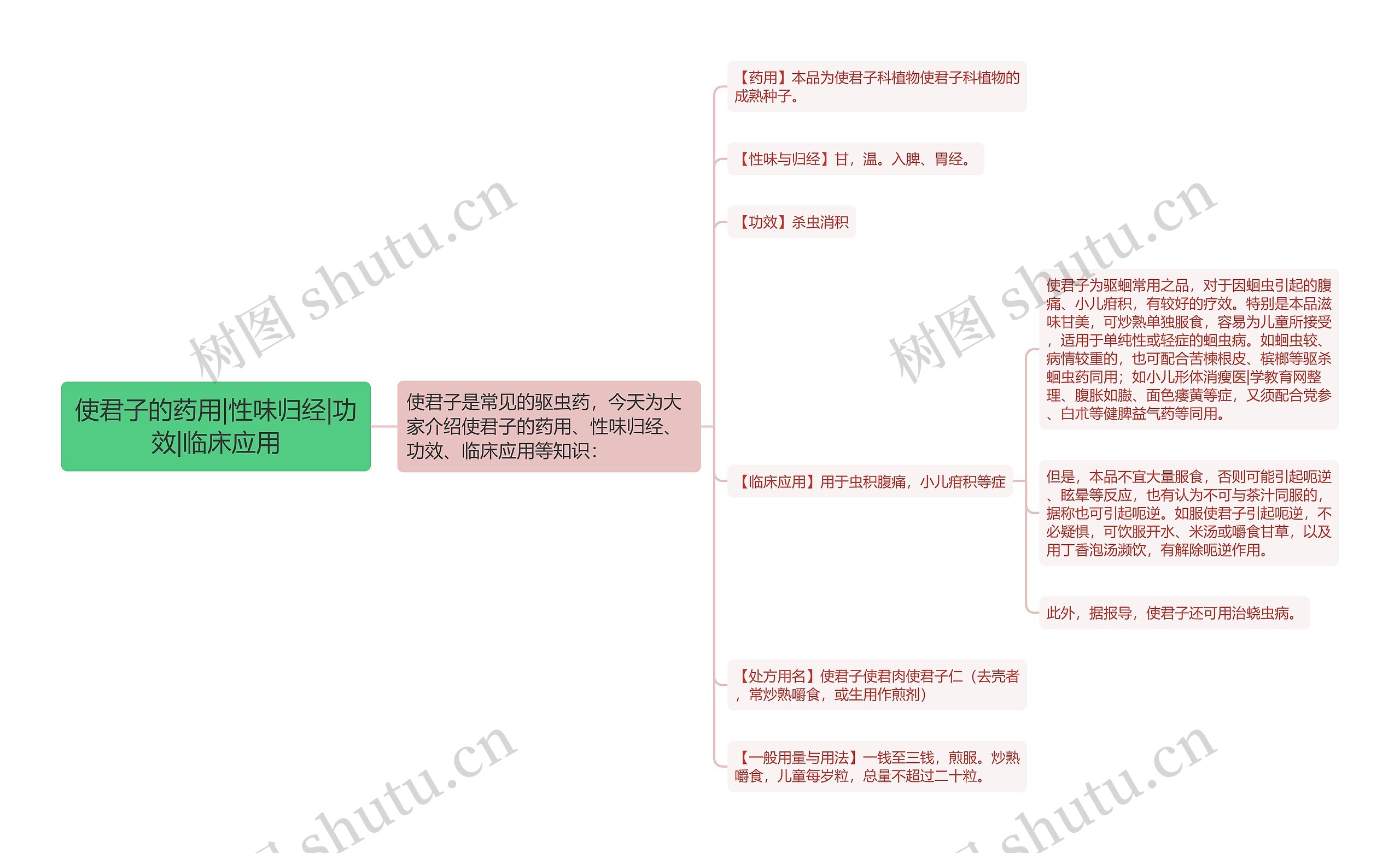 使君子的药用|性味归经|功效|临床应用