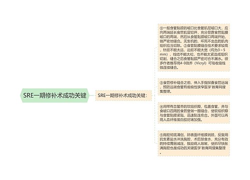 SRE一期修补术成功关键