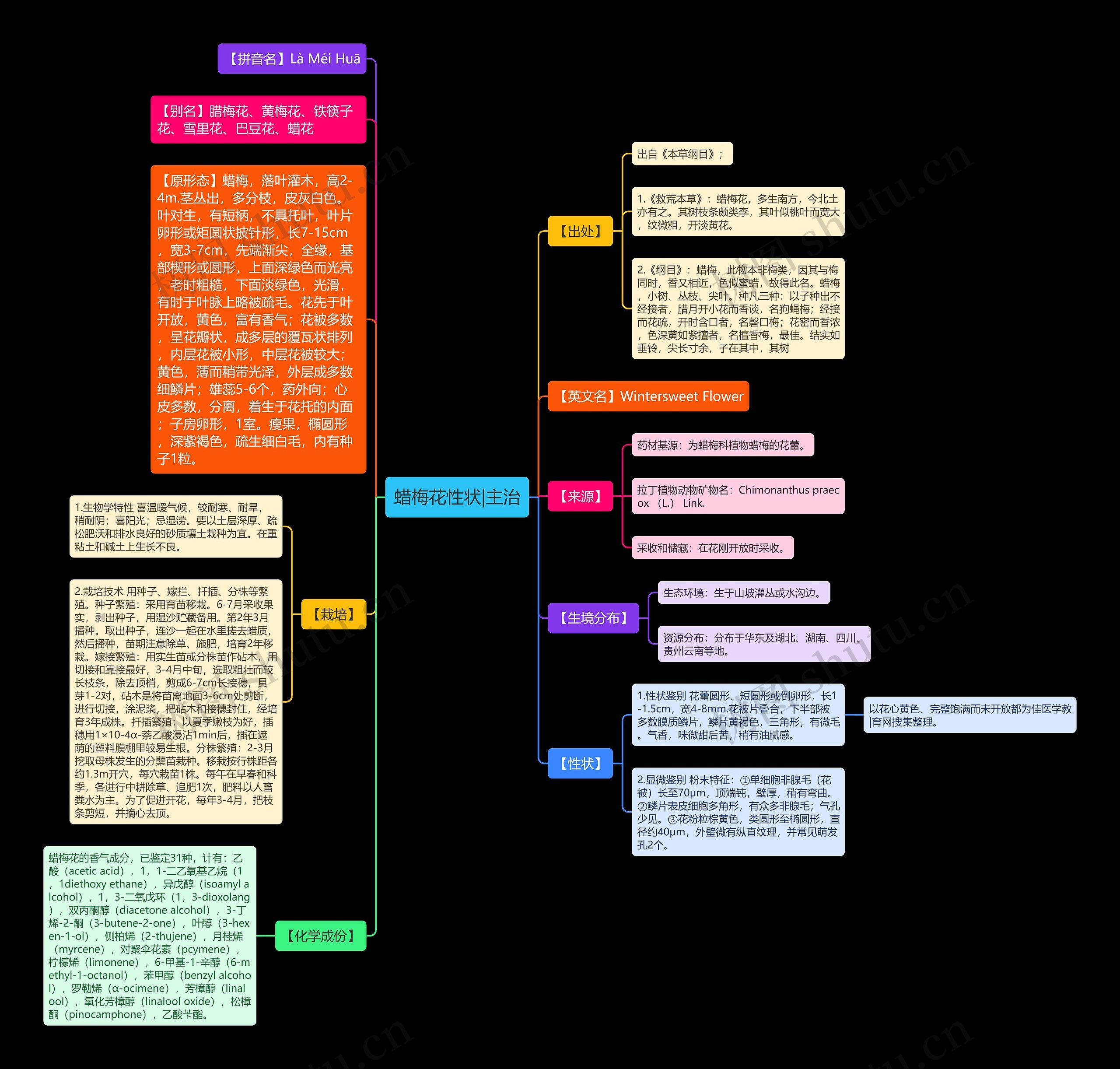 蜡梅花性状|主治思维导图