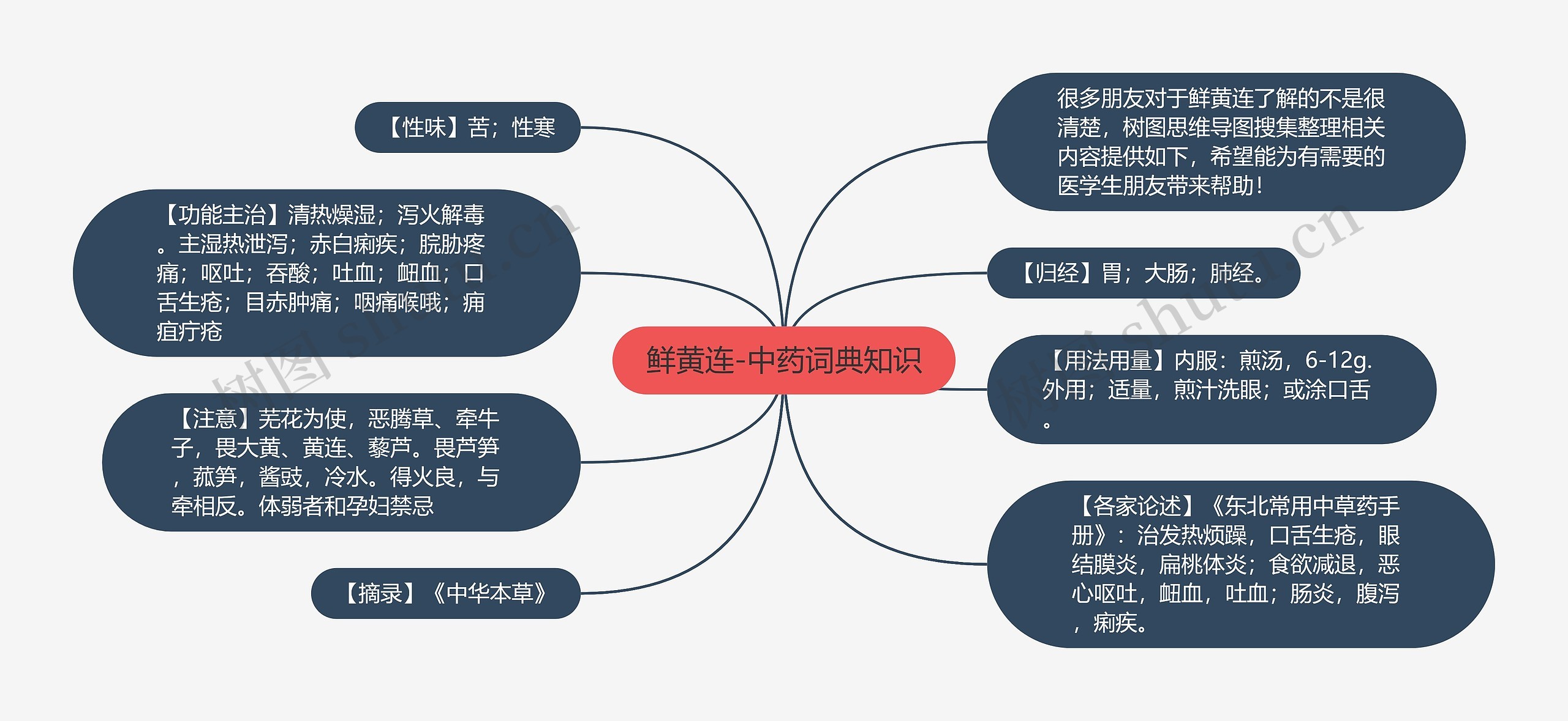 鲜黄连-中药词典知识思维导图