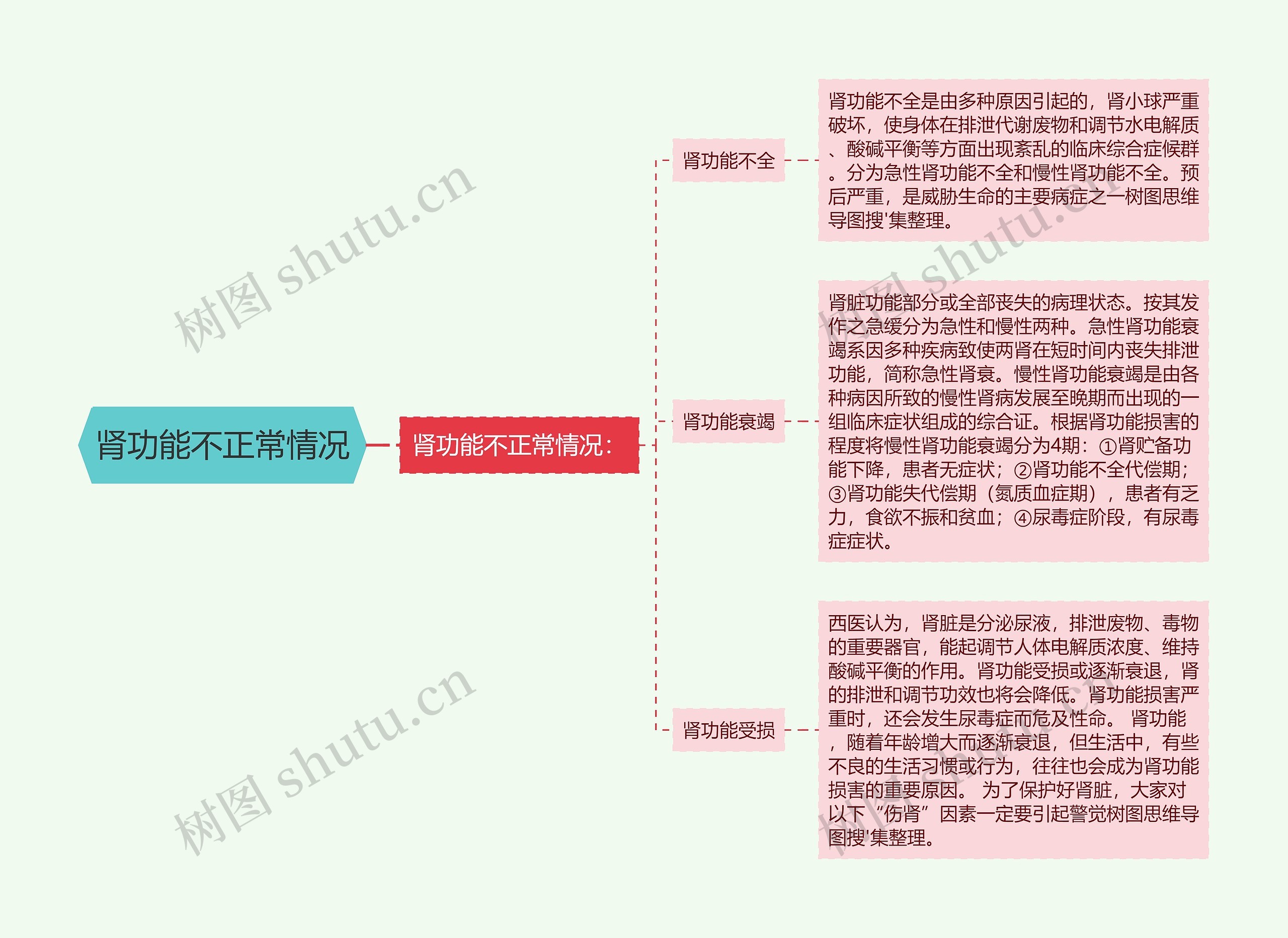 肾功能不正常情况思维导图