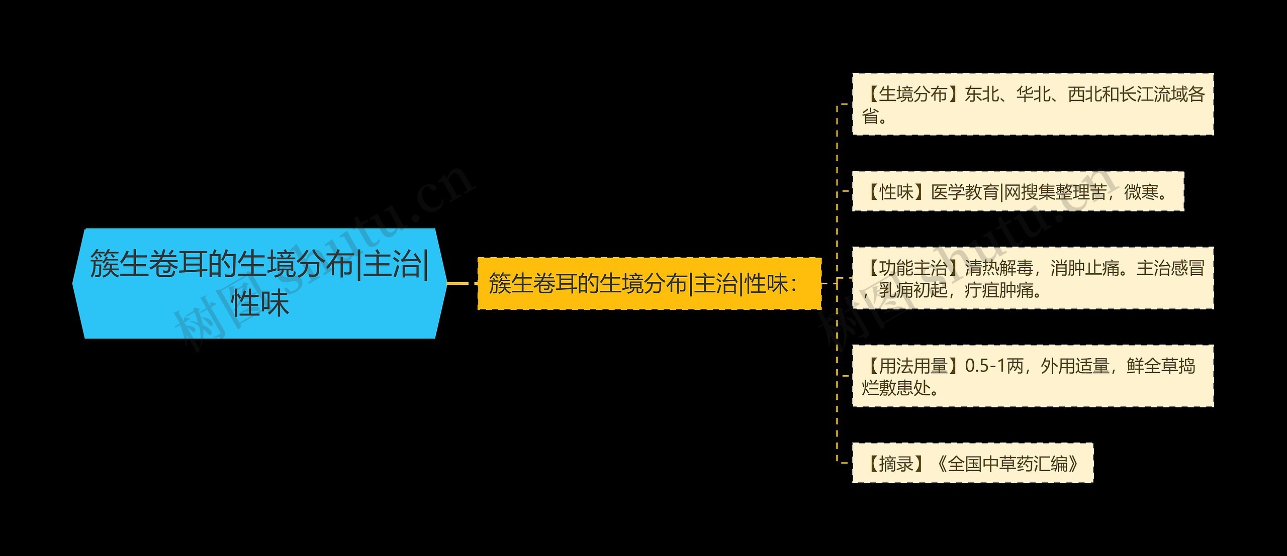 簇生卷耳的生境分布|主治|性味