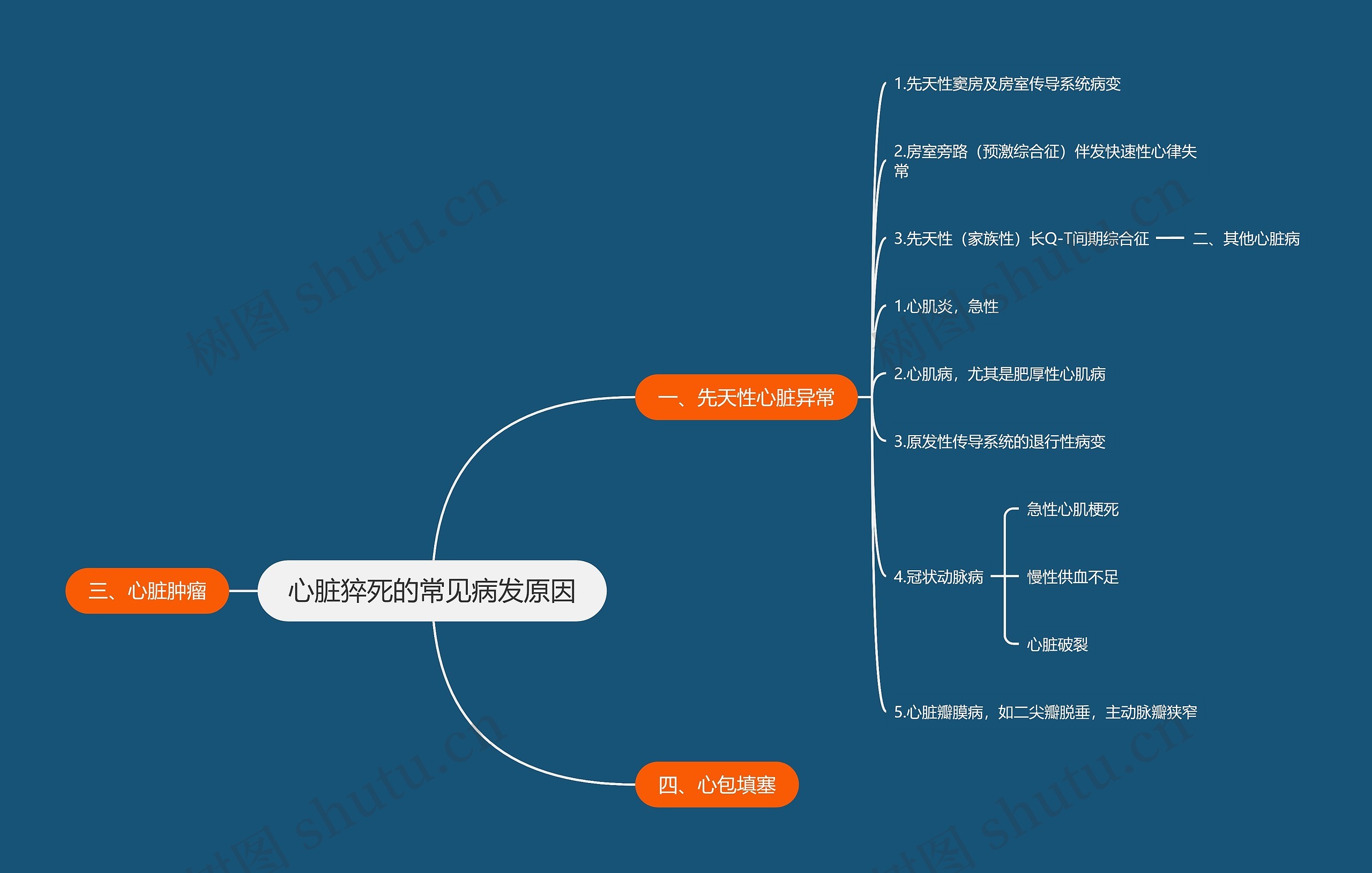 心脏猝死的常见病发原因