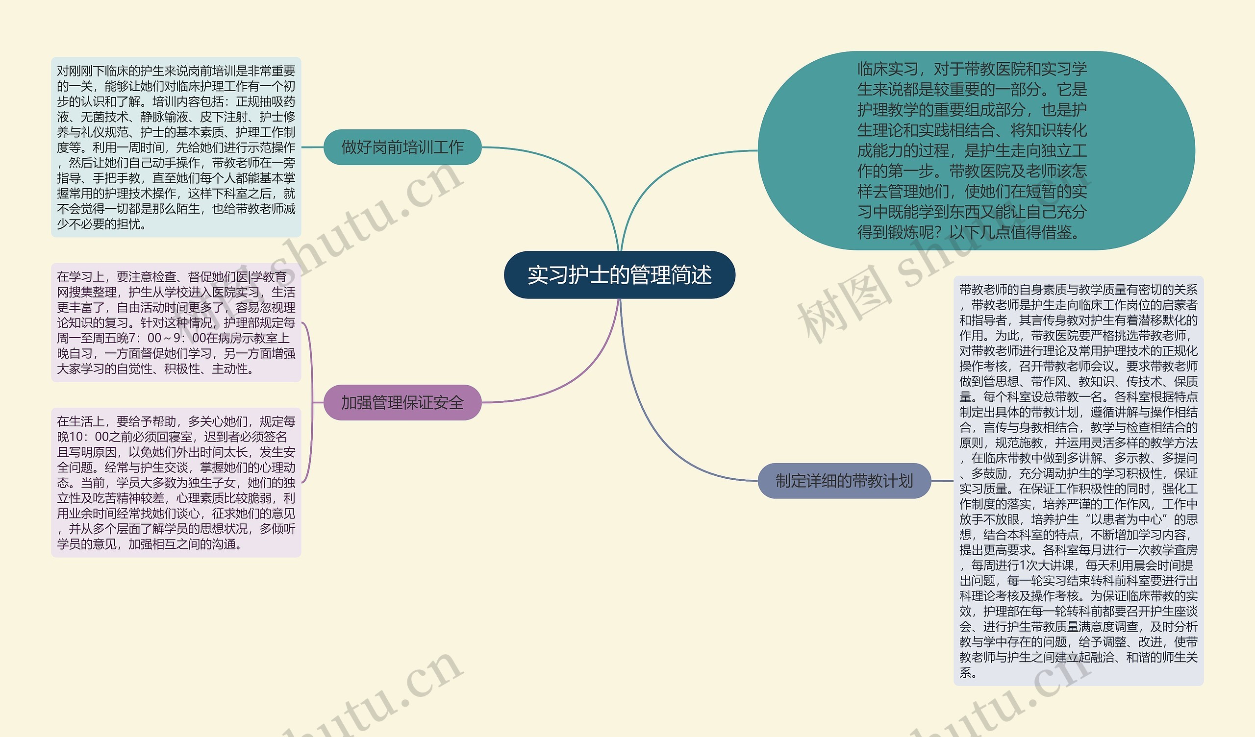 实习护士的管理简述思维导图