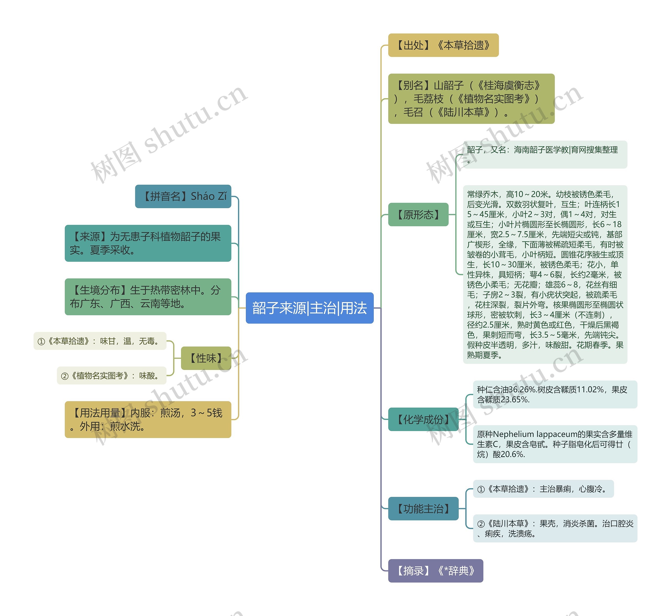 韶子来源|主治|用法思维导图